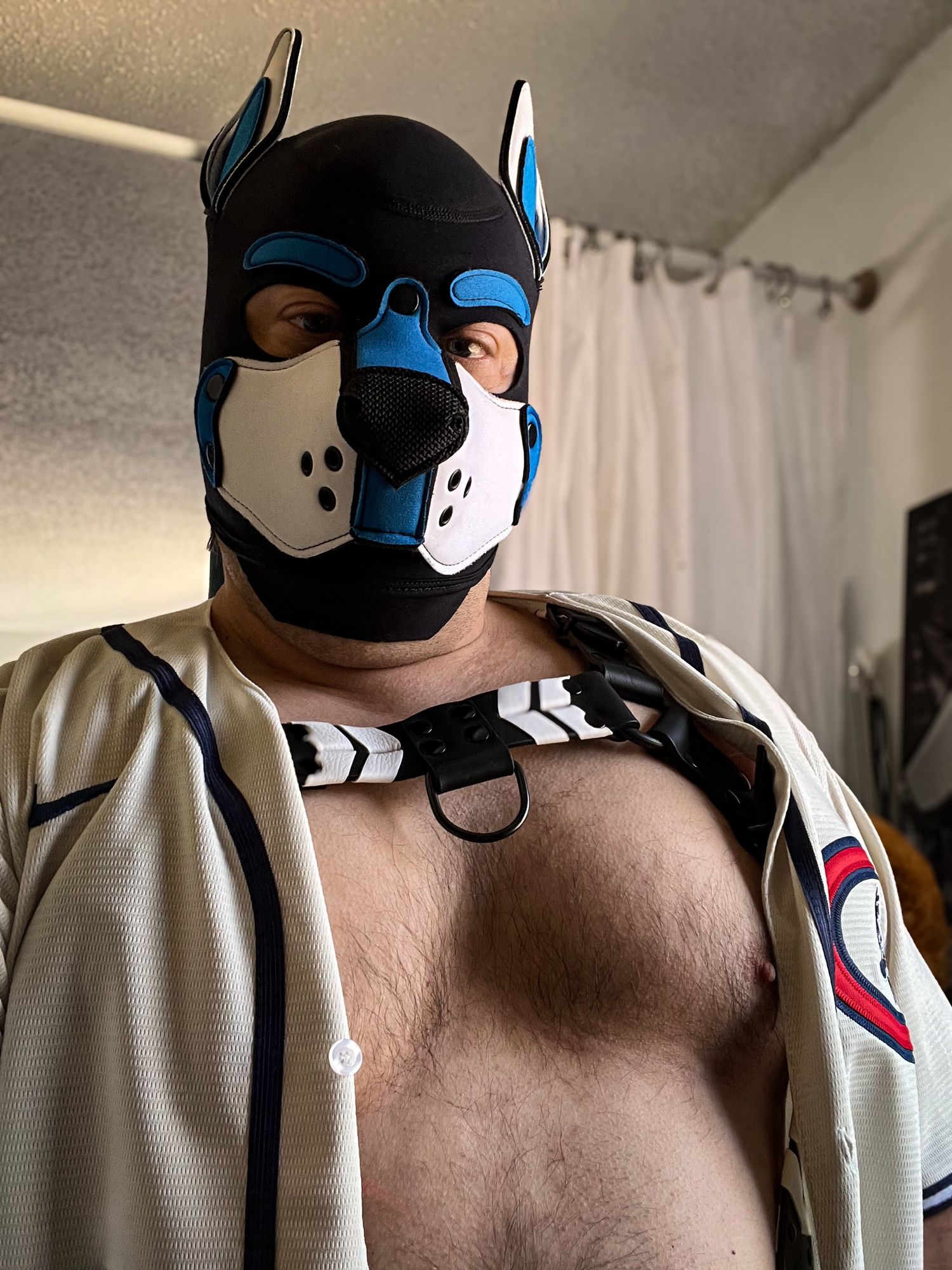 Nikon in an open jersey harness and chest exposed