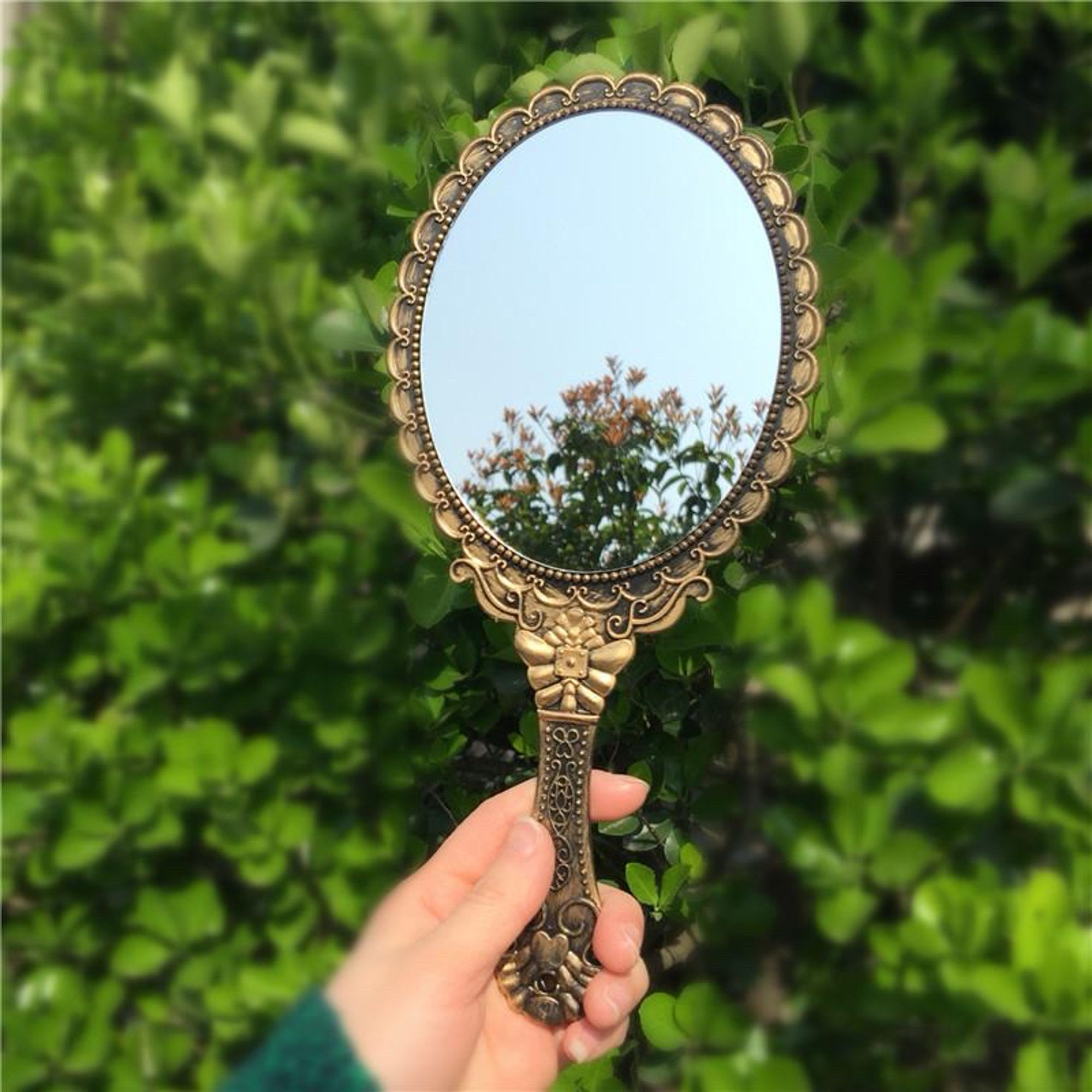 a vintage hand mirror, handle and edge done up with fancy curves and moulding, being held up outside, reflecting flowers. The backdrop appears to be a verdant thicket.