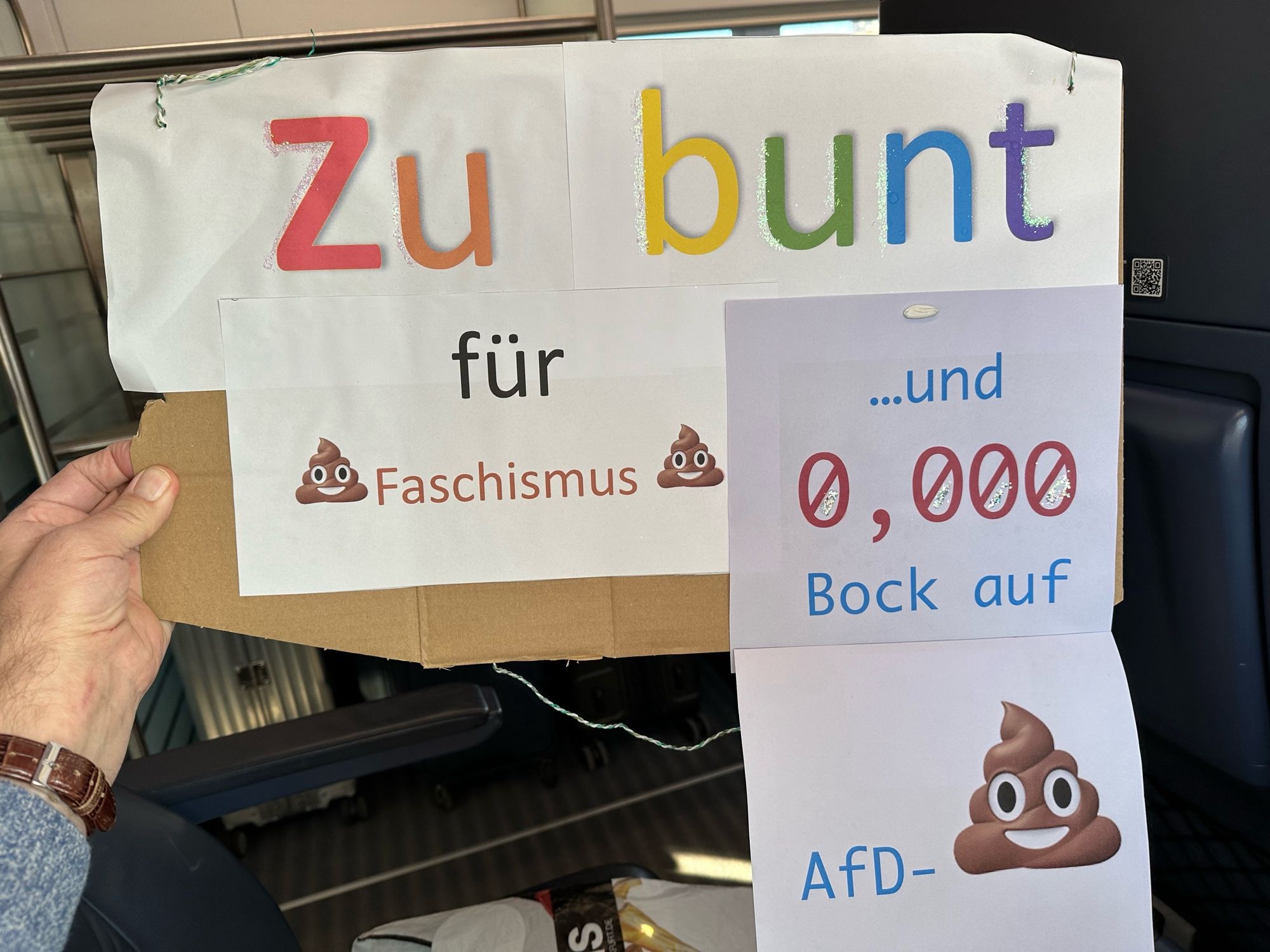 Demo Schild Zu bunt für Faschismus und 0,000 Bock auf AfD 💩