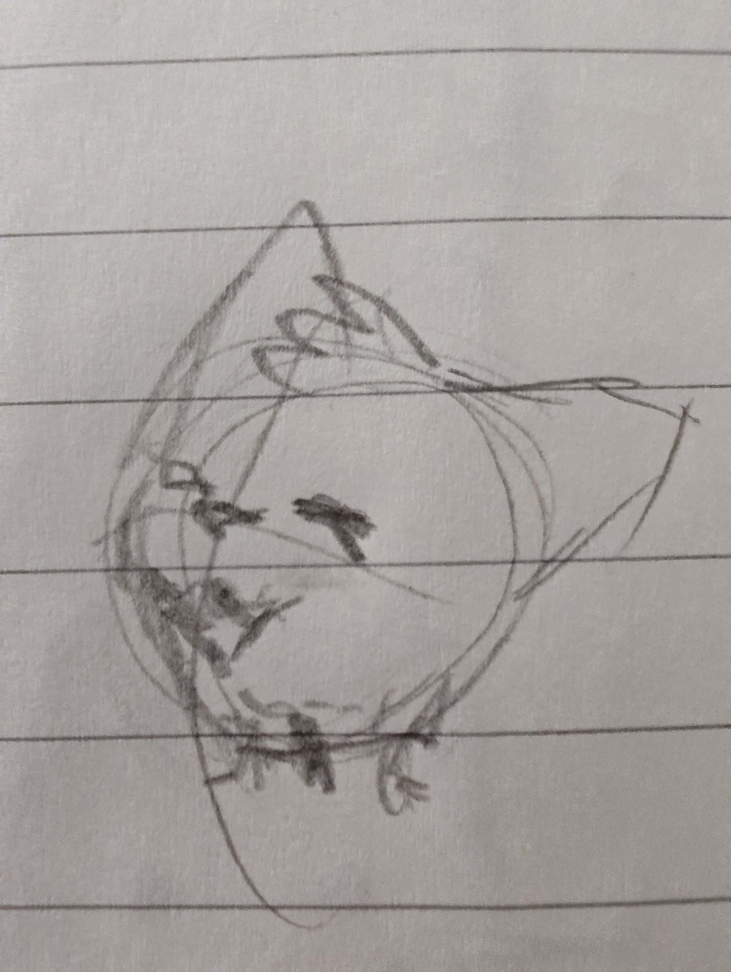 This is just a cat face sketch.