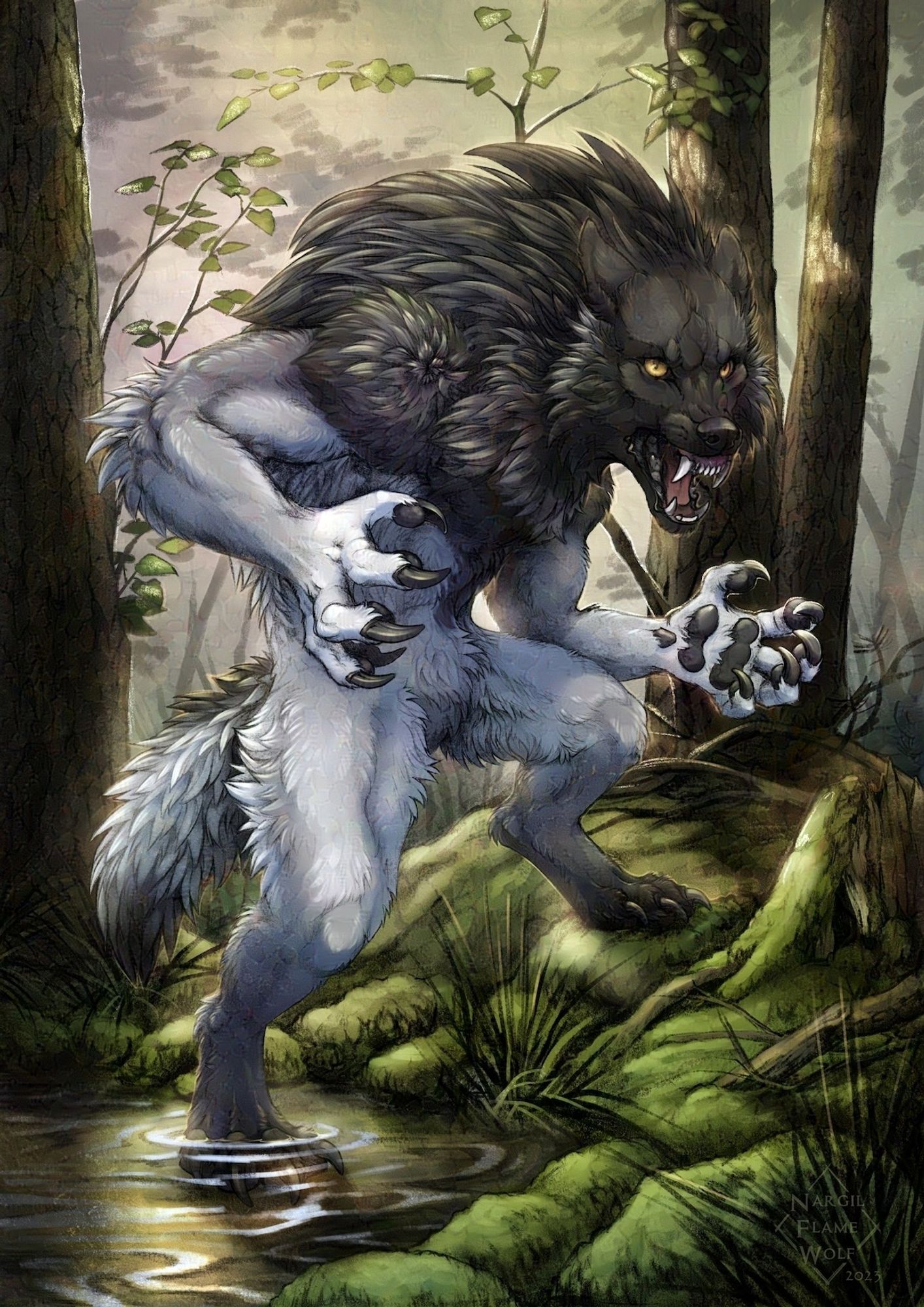 A color illustration of a werewolf-like creature, Keshral, standing in a verdant forest. The scene is suffused with the glow of morning light. Keshral is covered in bushy white fur that turns black near his feet, the tip of his tail, and his shoulders and head. His eyes are yellow. His arms are outstretched and he is snarling. He stands with one foot on a mossy embankment and one foot in a shallow pool of water.