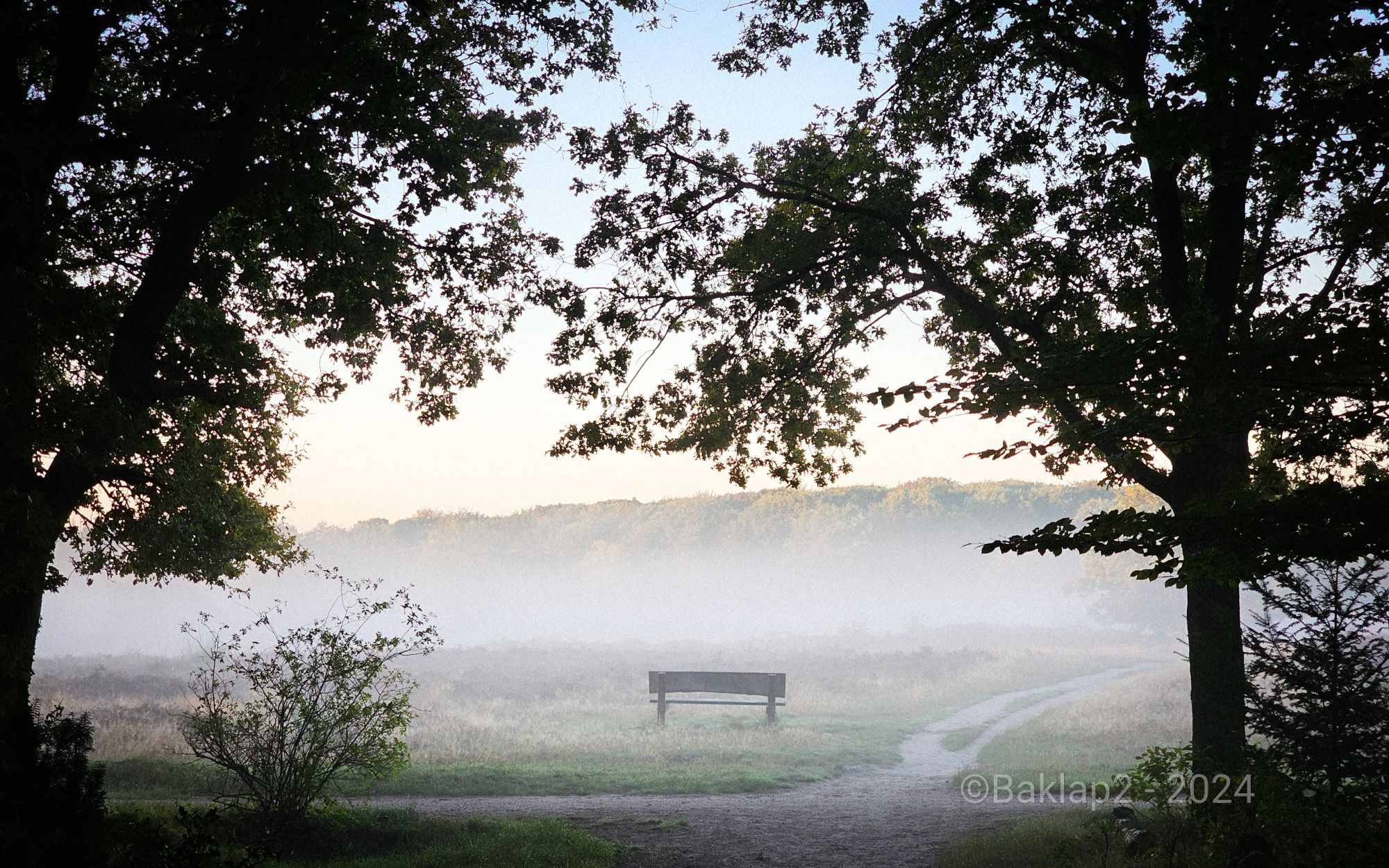 Goedemorgen op deze mooie Zondag 🥰