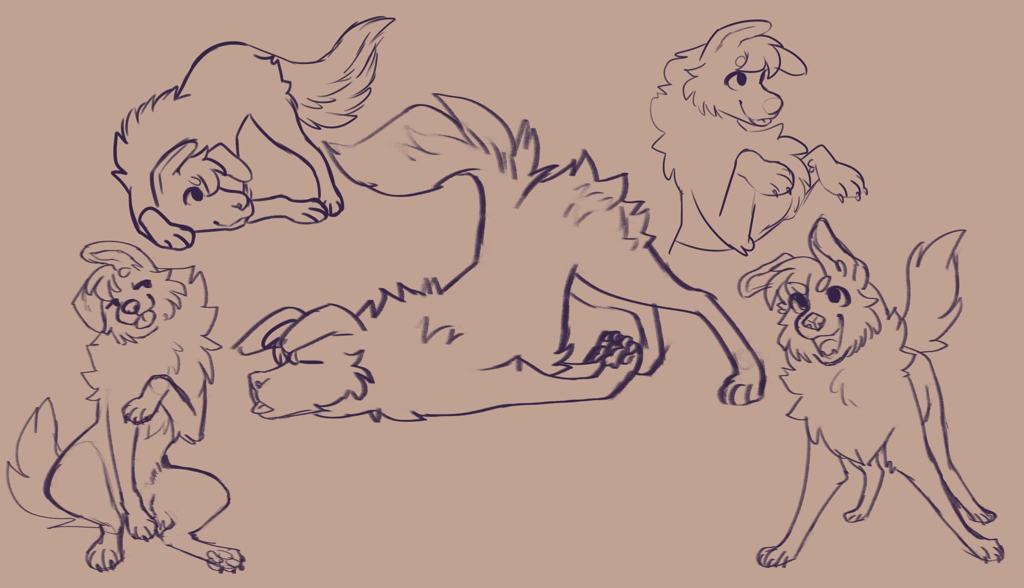 Doodles of a small feral border collie dog, with varying levels of playfulness