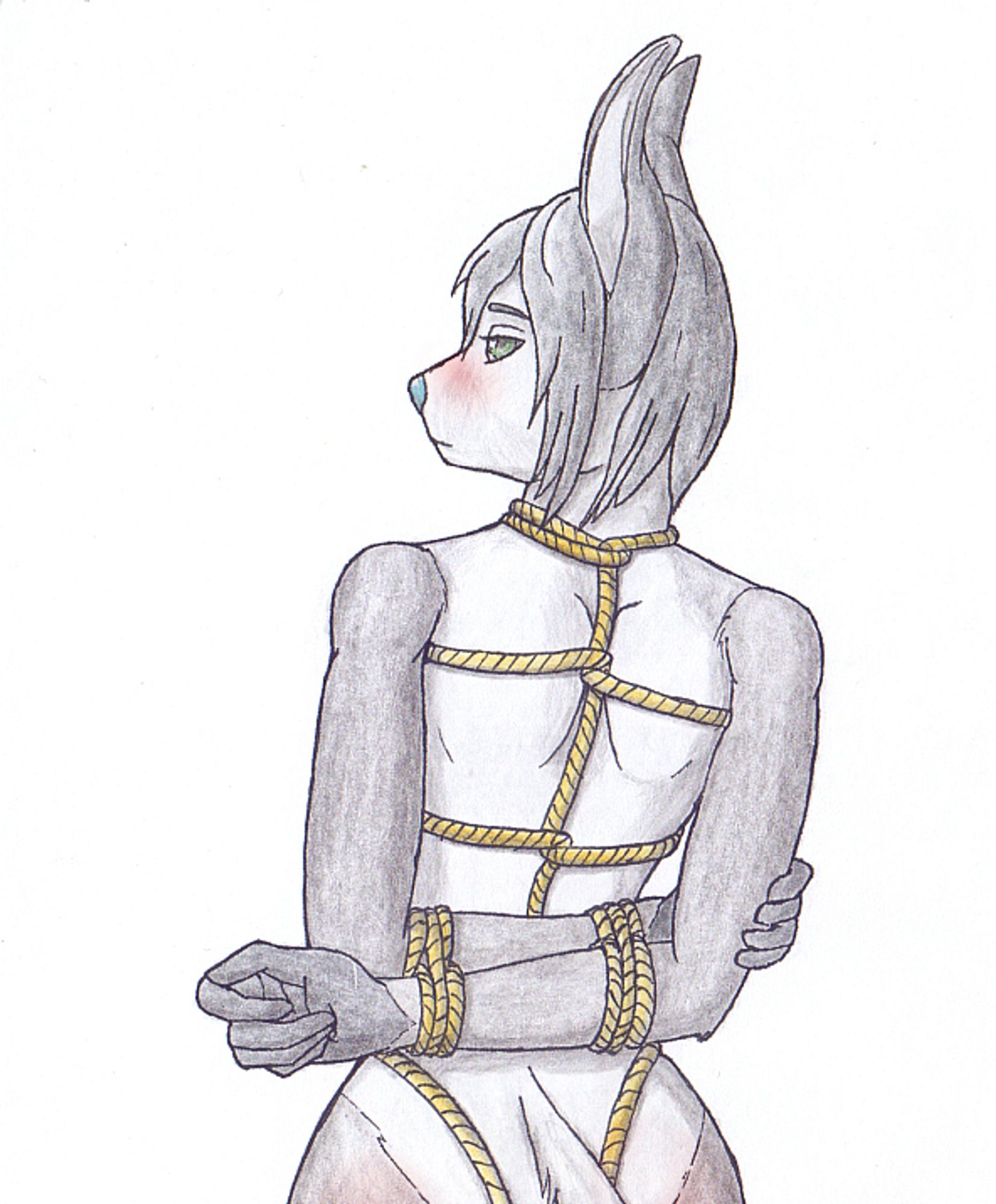 Tradicional drawing of @calacene.bsky.social 's Cala (husky/rabbit) in shibari, showing her back to the viewer.