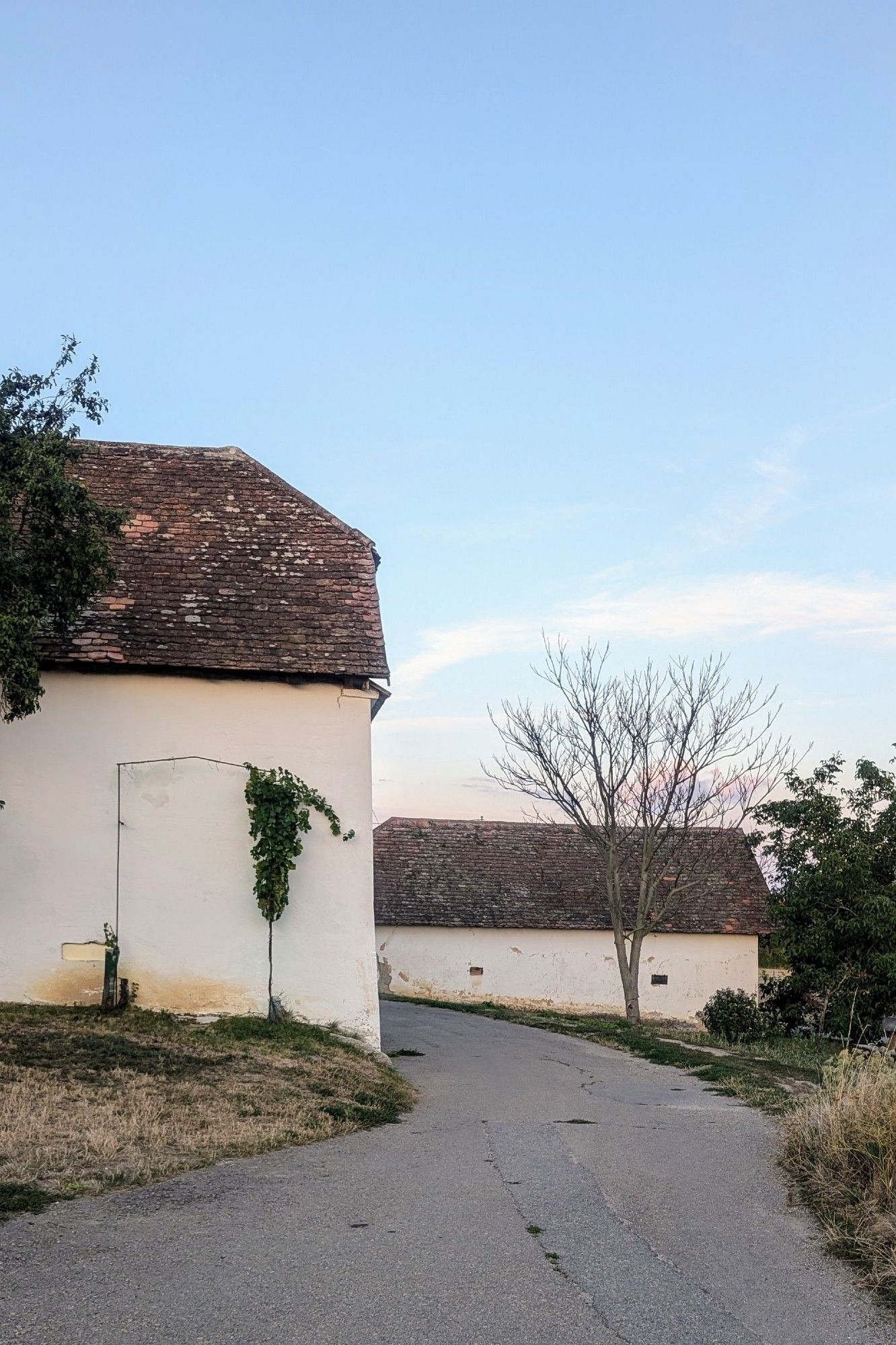 Gebäude in einer Kellerstrasse im Weinviertel in der Abendsonne