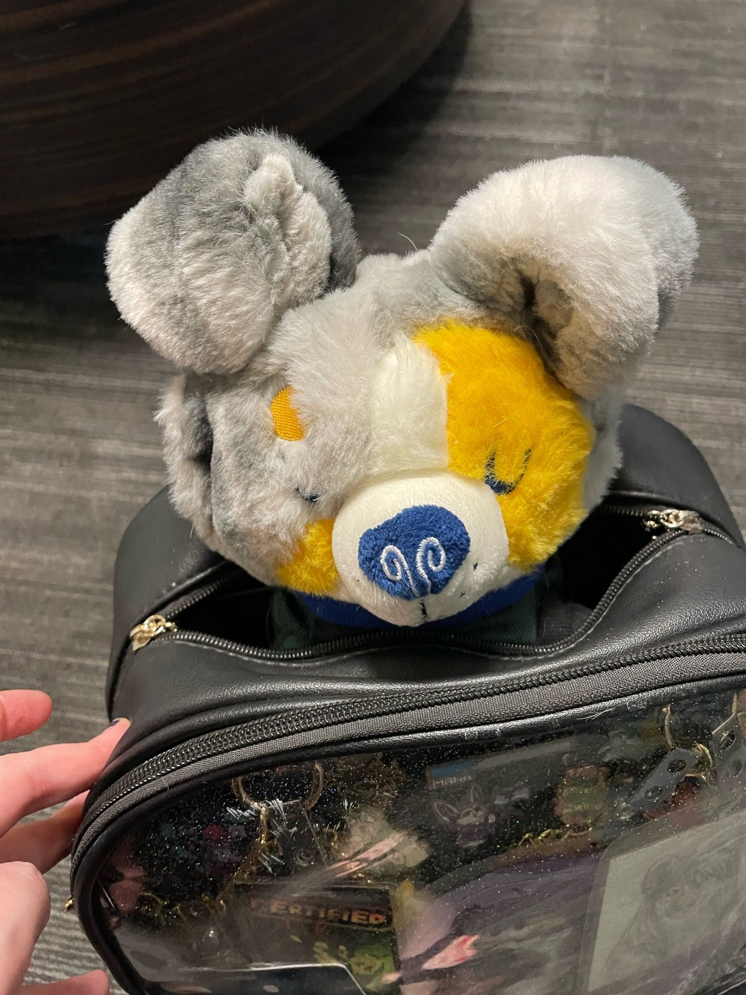 A sleepy plush Australian Shepherd is tucked in an itabag, ready for travel.