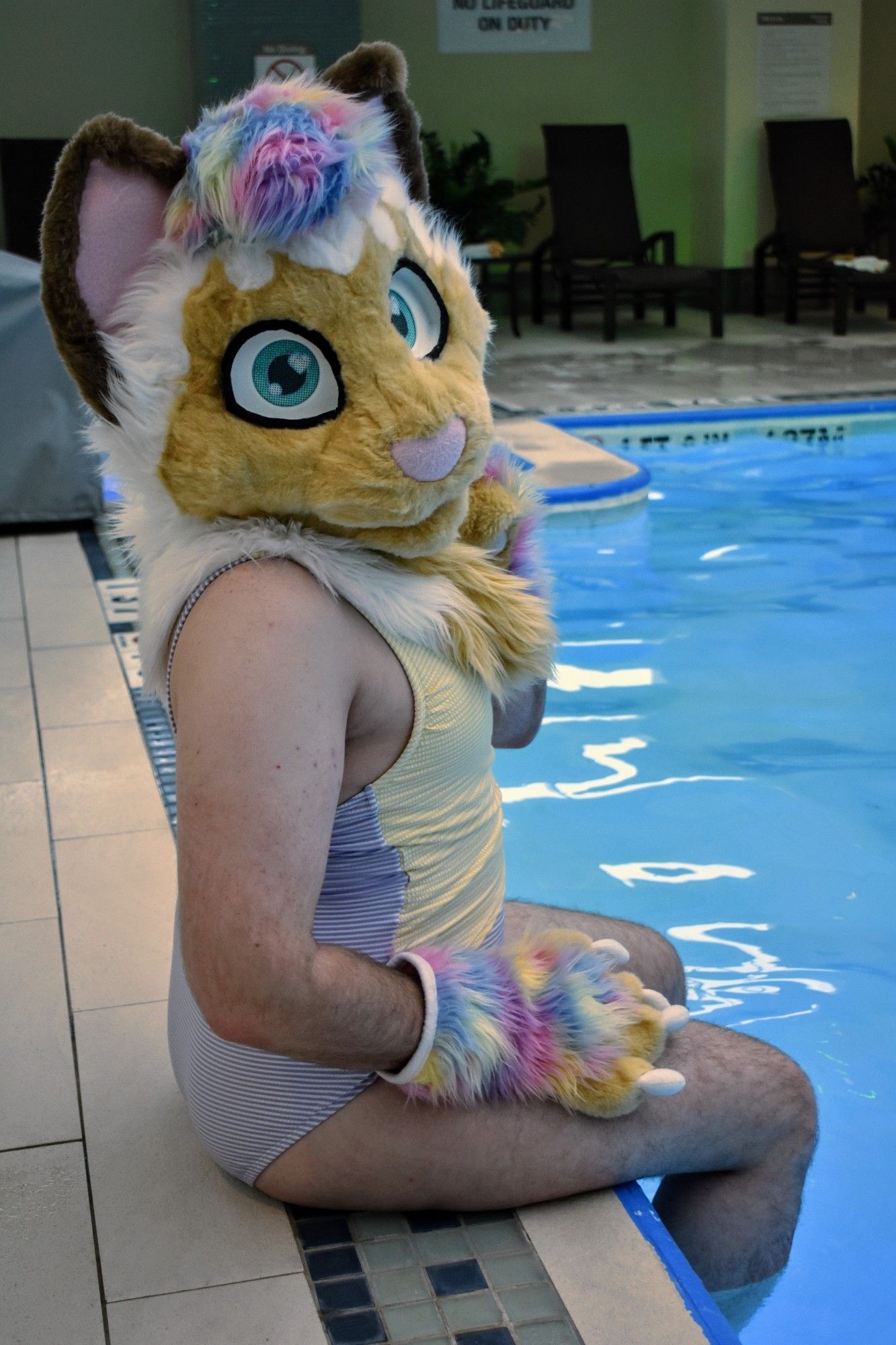 Sprinkles (cat fursuit) sitting in a one-piece swimsuit on the edge of the pool, taking up most of the frame