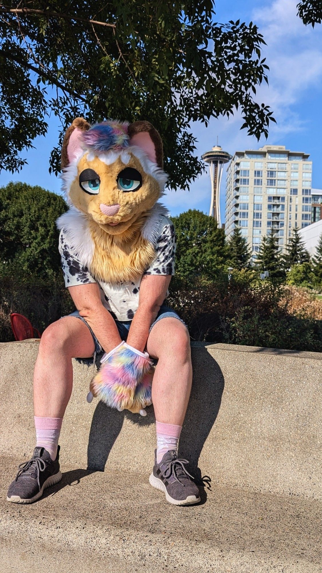 sitting atop a concrete bench in a cat fursuit with the space needle in the background