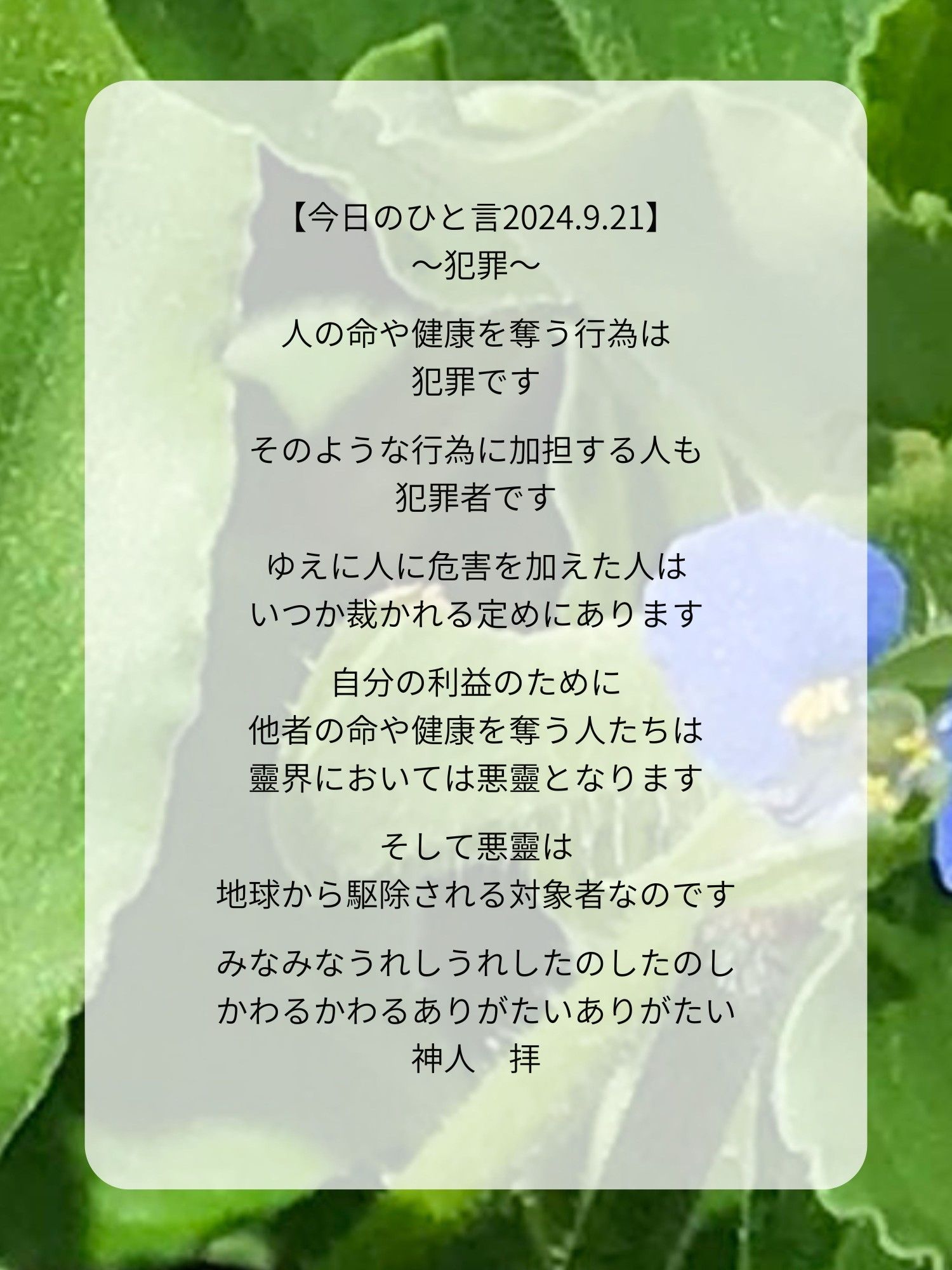 【今日のひと言2024.9.21】
〜犯罪〜

人の命や健康を奪う行為は
犯罪です

そのような行為に加担する人も
犯罪者です

ゆえに人に危害を加えた人は
いつか裁かれる定めにあります

自分の利益のために
他者の命や健康を奪う人たちは
靈界においては悪靈となります

そして悪靈は
地球から駆除される対象者なのです

みなみなうれしうれしたのしたのし
かわるかわるありがたいありがたい
神人　拝