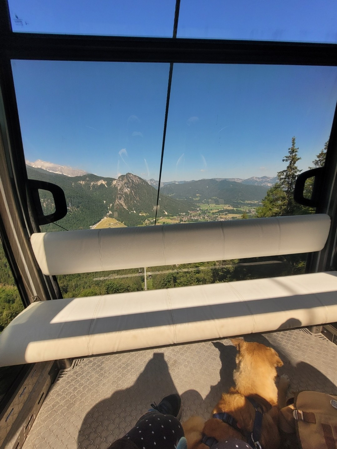 Aufnahme aus einer Gondel mit Glasfronten. Auf dem Boden liegt ein beiger Hund. Draußen viel blauer Himmel und eine Berglandschaft 