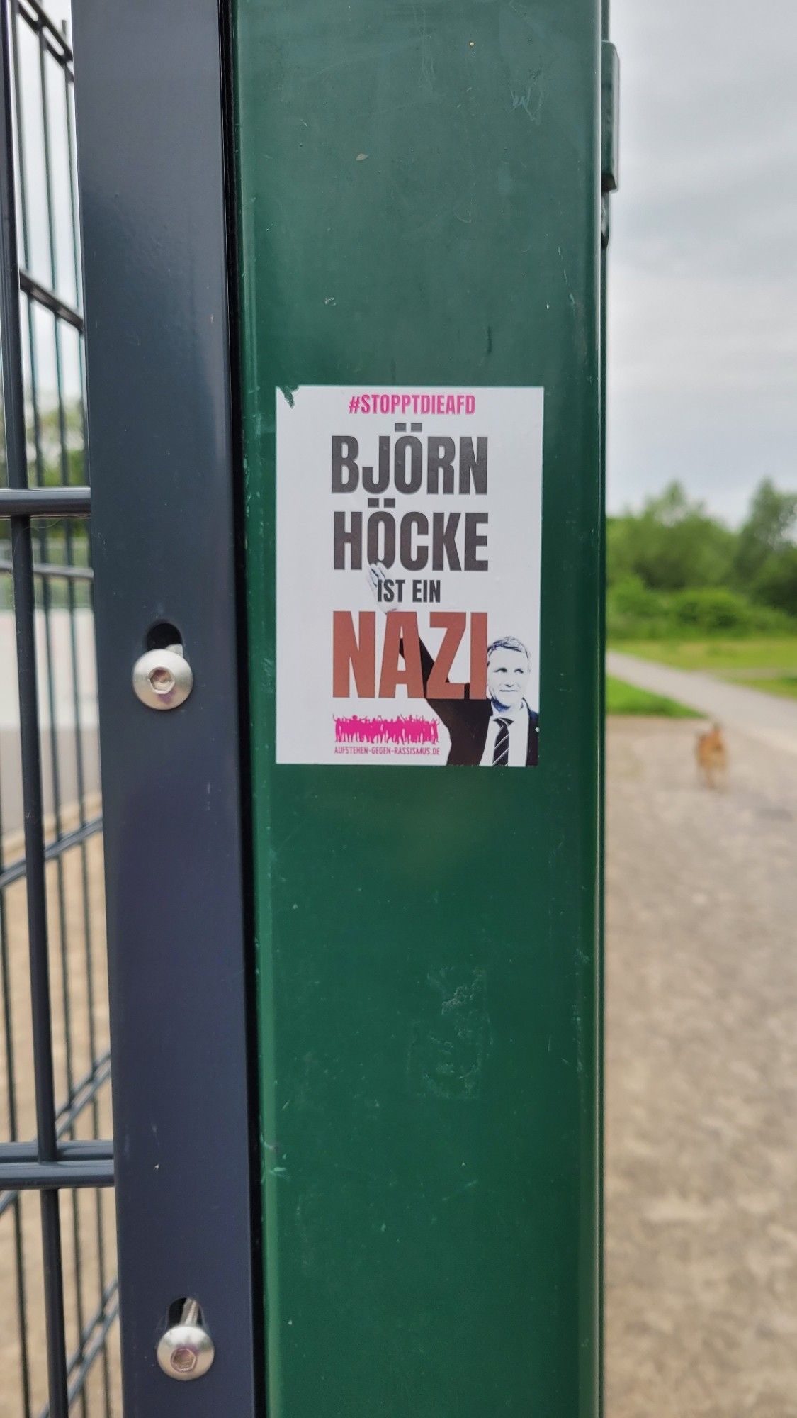 Nahaufnahme grüner Zaunfahl, auf dem ein weißer rechteckiger Sticker im Hochformat aufgeklebt ist: #StopptdieAfD Björn Höcke ist ein Nazi