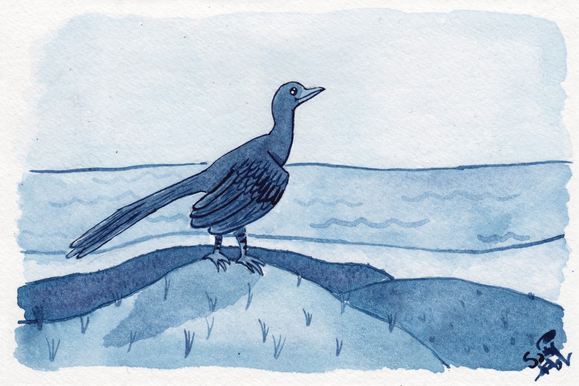 Ink painting of an archaeopteryx perched on a hill overlooking the seashore, painted in shades of muted blue.