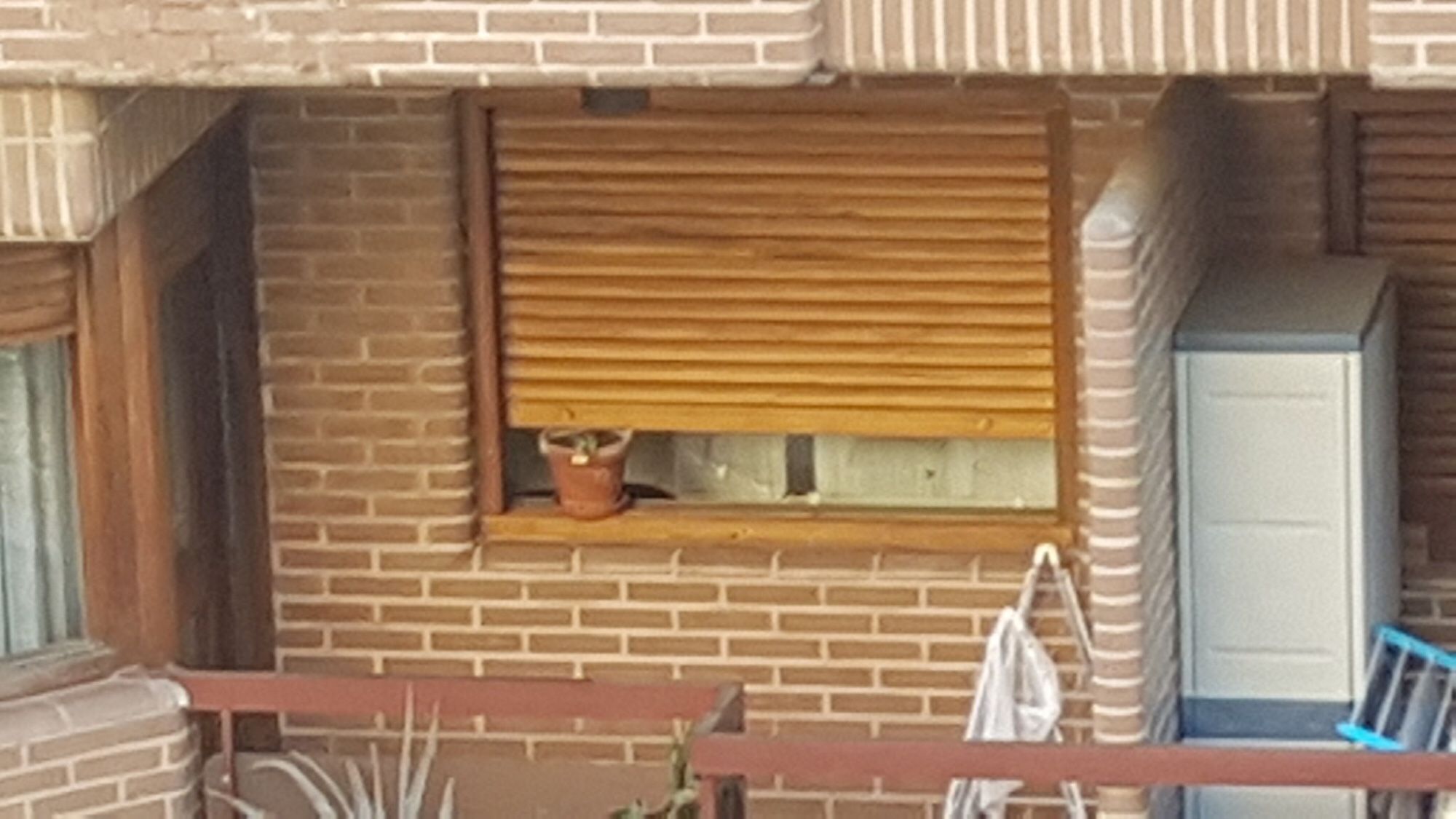 Foto de la ventana del vecino de enfrente con una maceta sujetando la persiana porque se le ha debido romper la correa.
Que persiana en inglés es shutter y no Windows, sí, pero si eres tan pejigueras como para joder el chiste por eso, mejor sal de este perfil porque como te agarre te vi a medir el lomo, desustanciao.
Y deja de leer el texto alternativo si no eres cieg@, rabolechón.