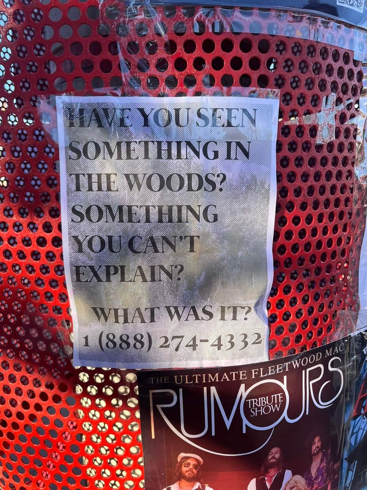 flyer taped to a red trash can that says, "have you seen something in the woods? something you can't explain?

what was it?

1(888)274-4332"