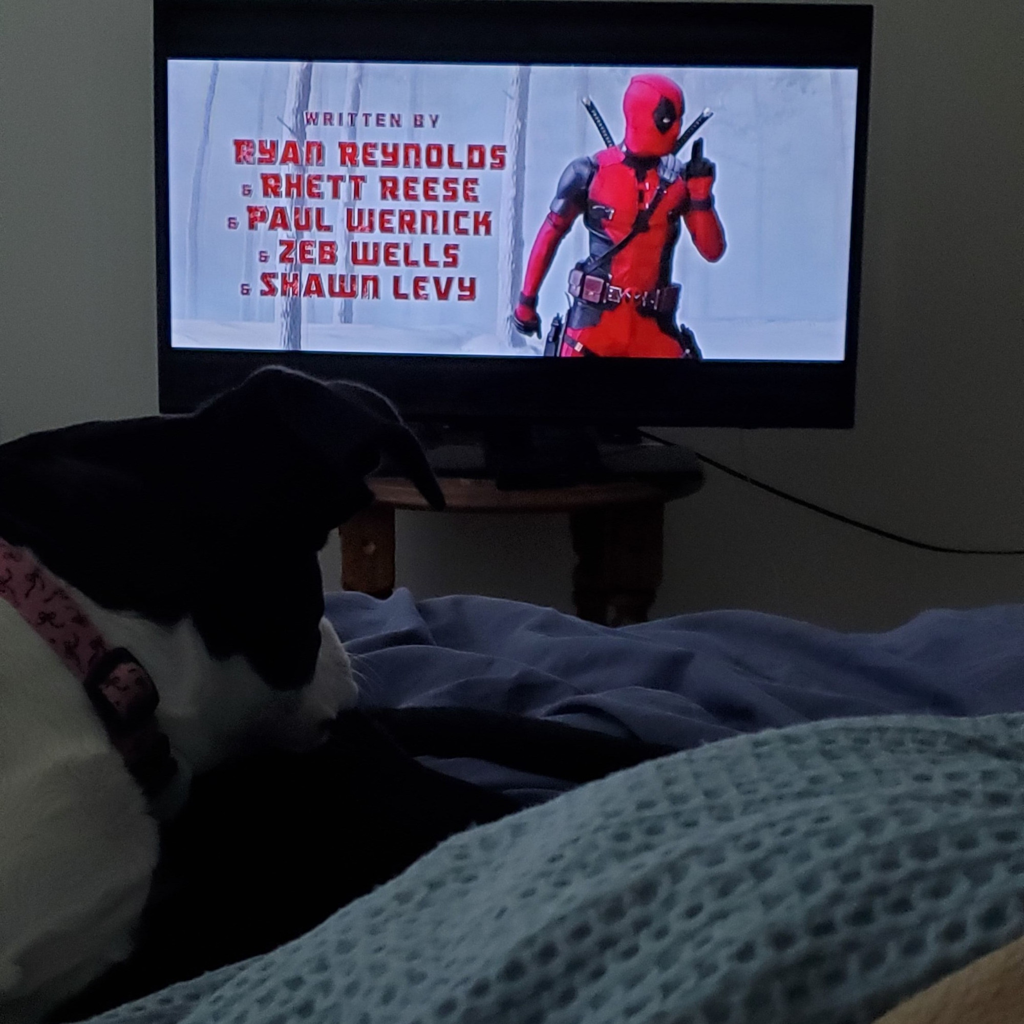 Sharpie is watching Deapool Versus Wolverine. There is a screencap of opening scene with writer credits. 

Credit reads: Written by Ryan Reynolds, Rhett Reese, Paul Weenick, Zeb Wells, and Shawn Levy.

To the right of the credits, Deadpool dances.