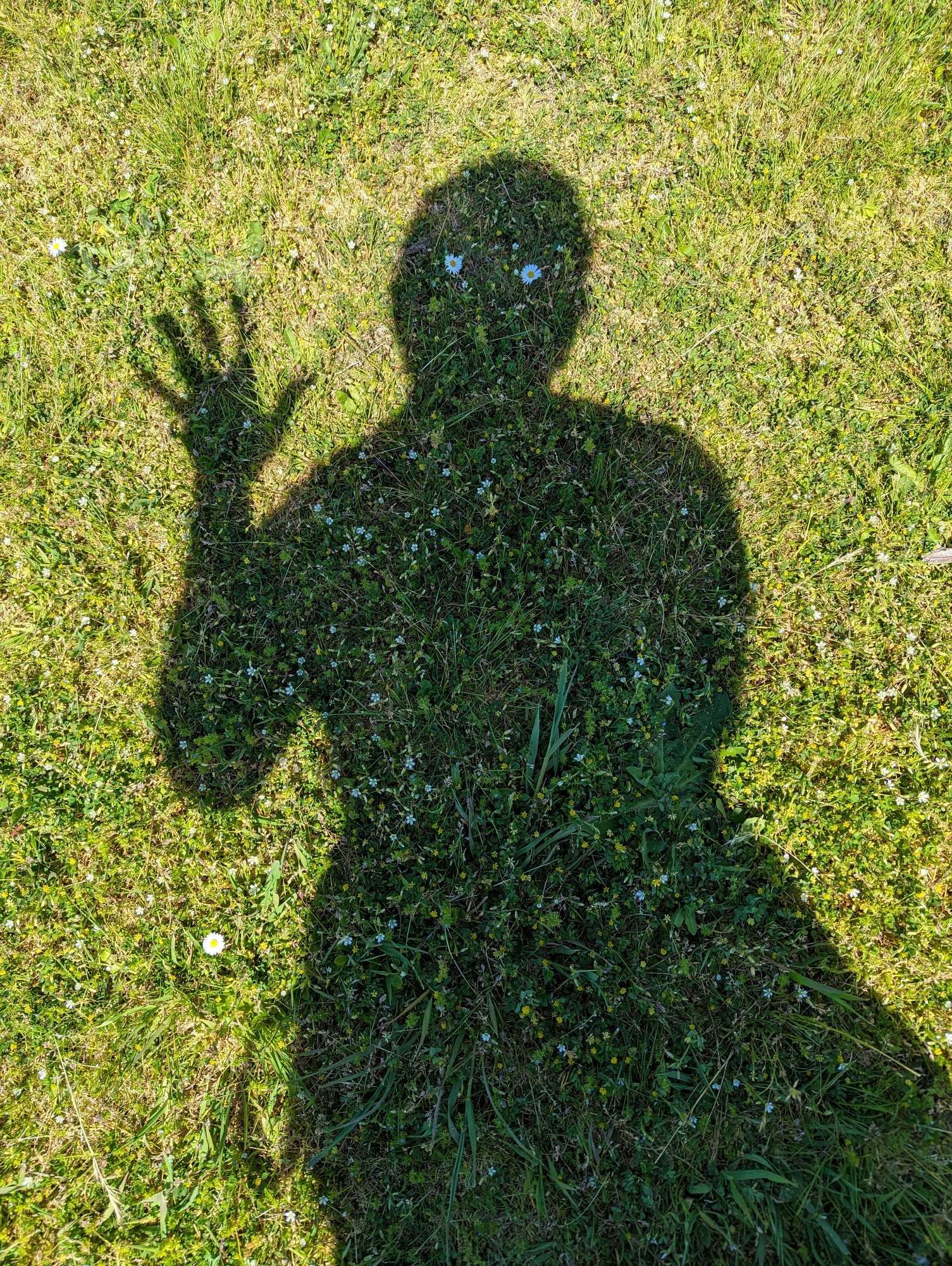 A shadow of me waving at you in the grass. It has tiny daisies for eyes. The effect is a little creepy