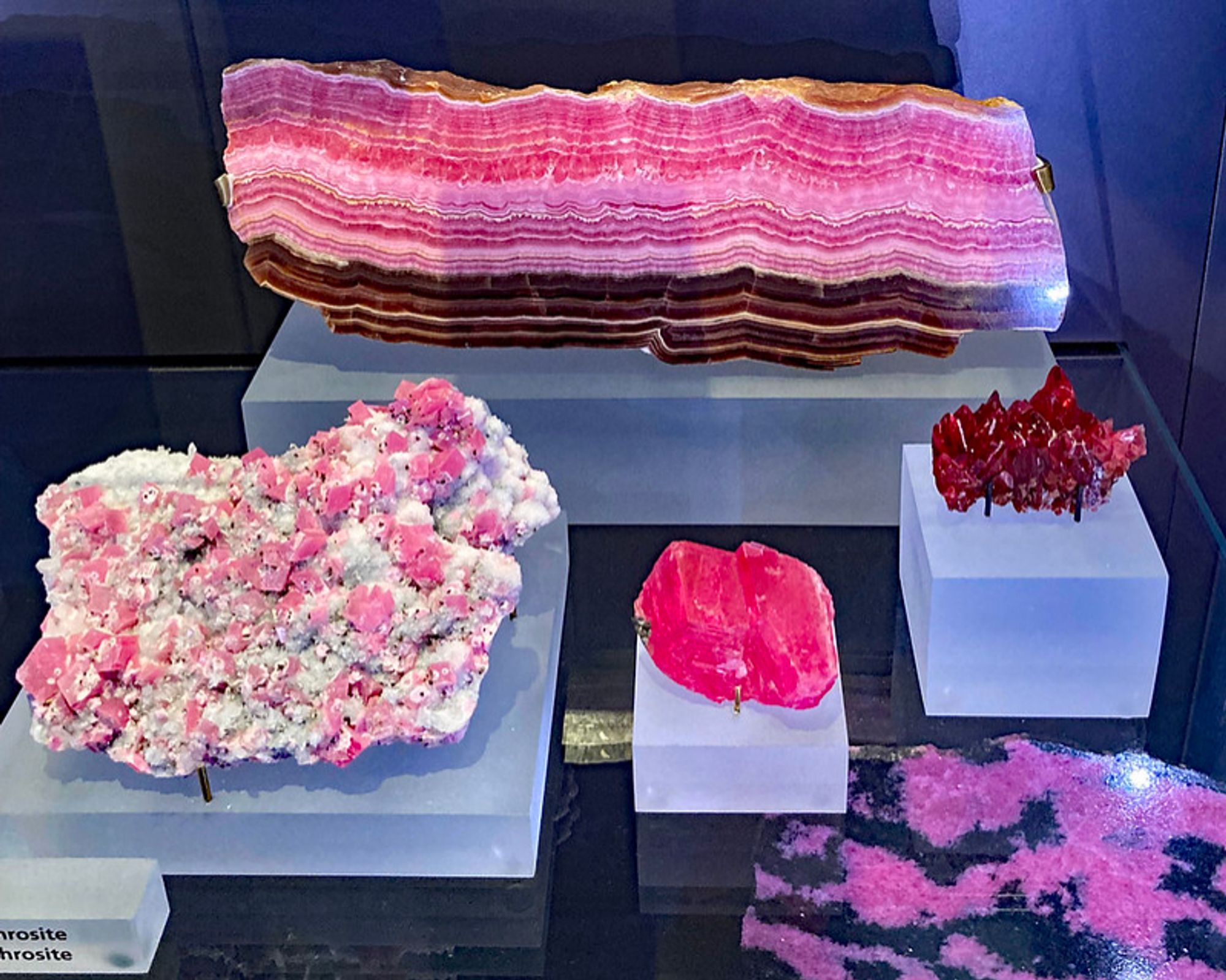 Samples of pink Rhodochrosite rocks. One sample looks like streaky bacon. Two small chunks look like red jello. One chunk has pink crystals embedded in a rough white rock. One is a fist-sized polished pink and black stone.