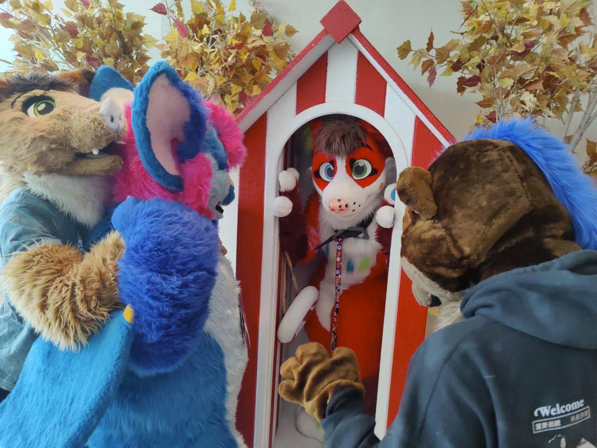 Three suiters look into a beach hut containing me