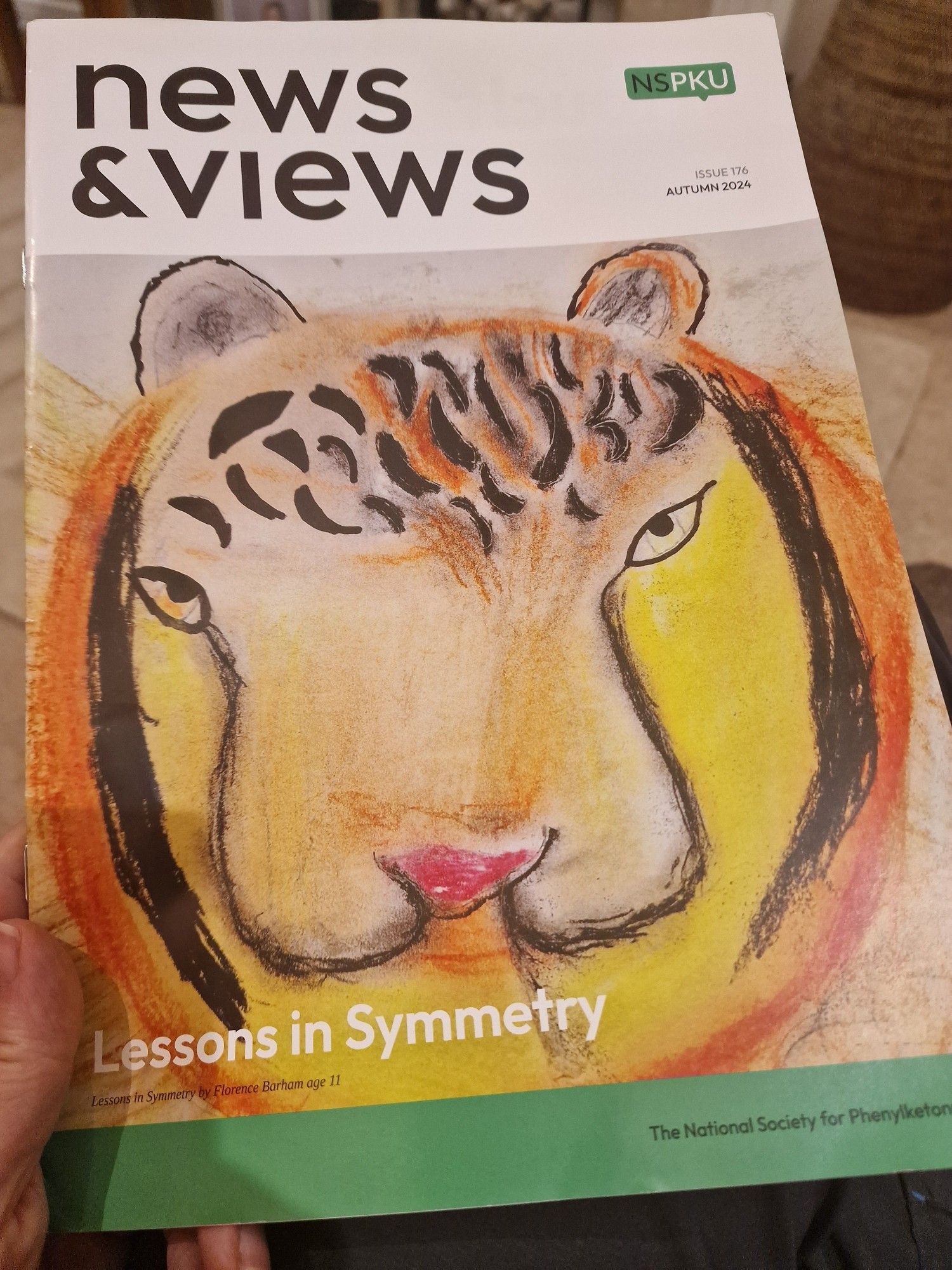 Charity NSPKU News and Views magazine with child's colourful lion picture on front cover