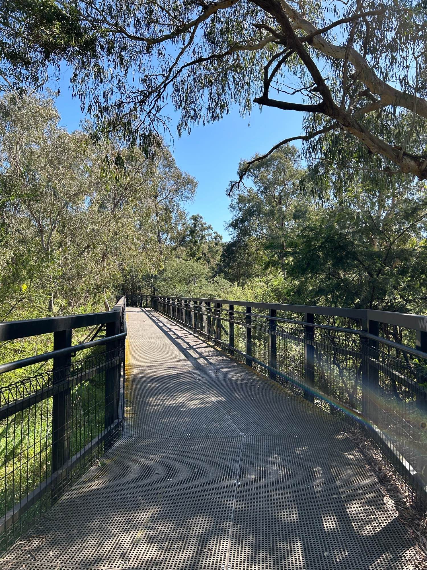 A walking trail bridge with blue sky and lots of trees