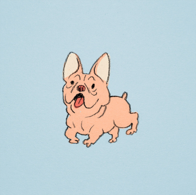 Pencil sketch with digital color of a French Bulldog. Extra bandy legs. Just so ugly-cute.