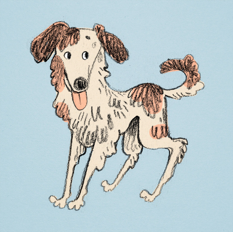 Pencil sketch with digital color of a cream and brown spotted dog. Very leggy. Obnoxious tongue out ready to lick.