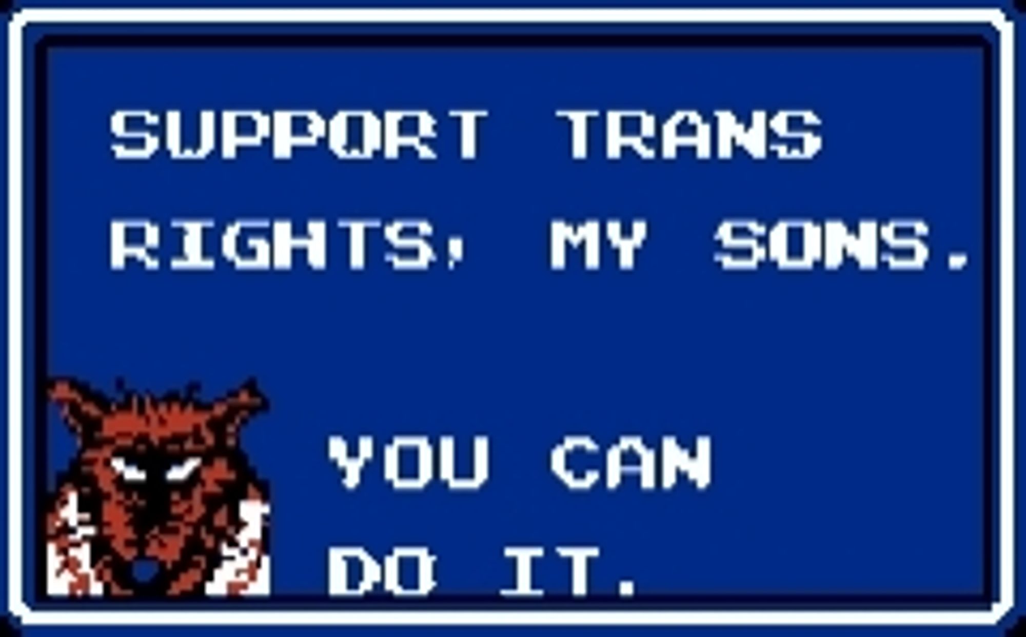 Splinter, from the pause screen of Teenage Mutant Ninja Turtles (NES, 1989) stating, "Support trans rights, my sons. You can do it."