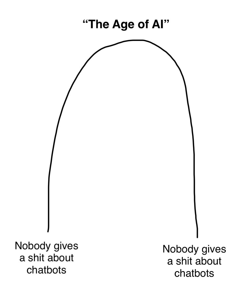 A hand-drawn graph showing a line arching up from the text "nobody gives a shit about chatbots" to "The Age of AI" and back to "nobody gives a shit about chatbots" 