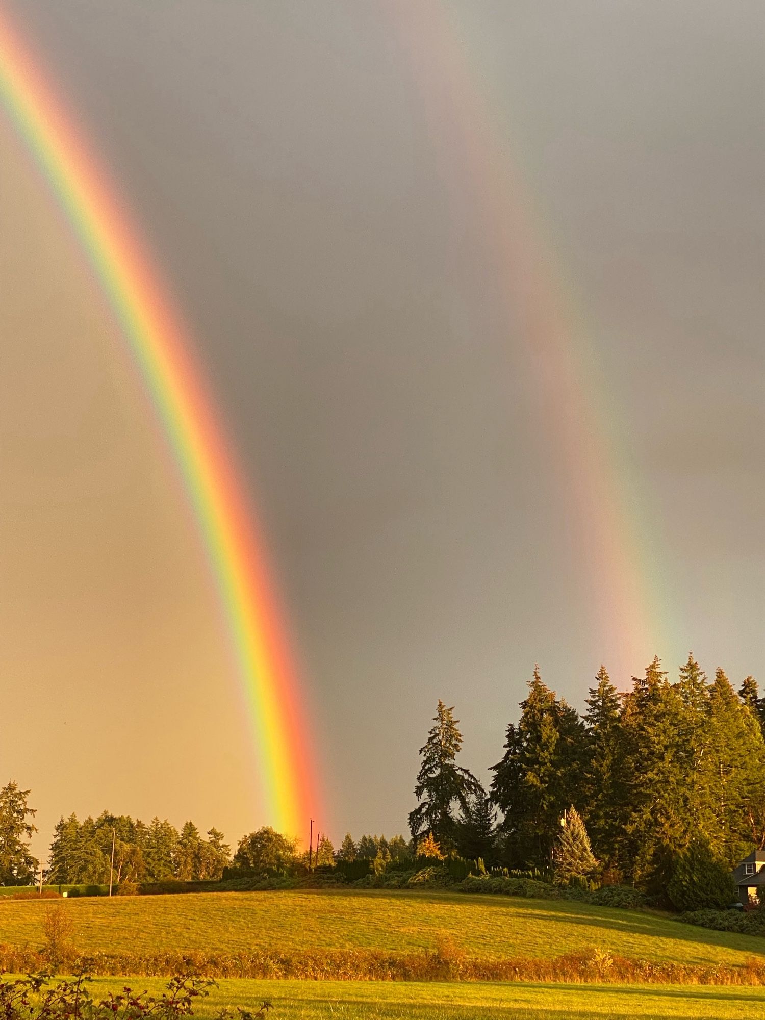 A beautiful double rainbow near my house.