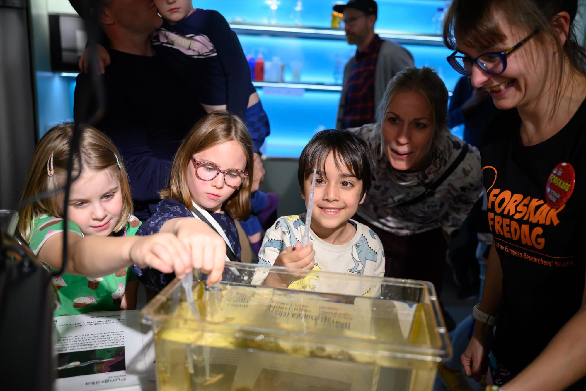 Children investigating what's in the water during the European Researchers' Night at Umeå University. Photo: Gabrielle Beans Picón