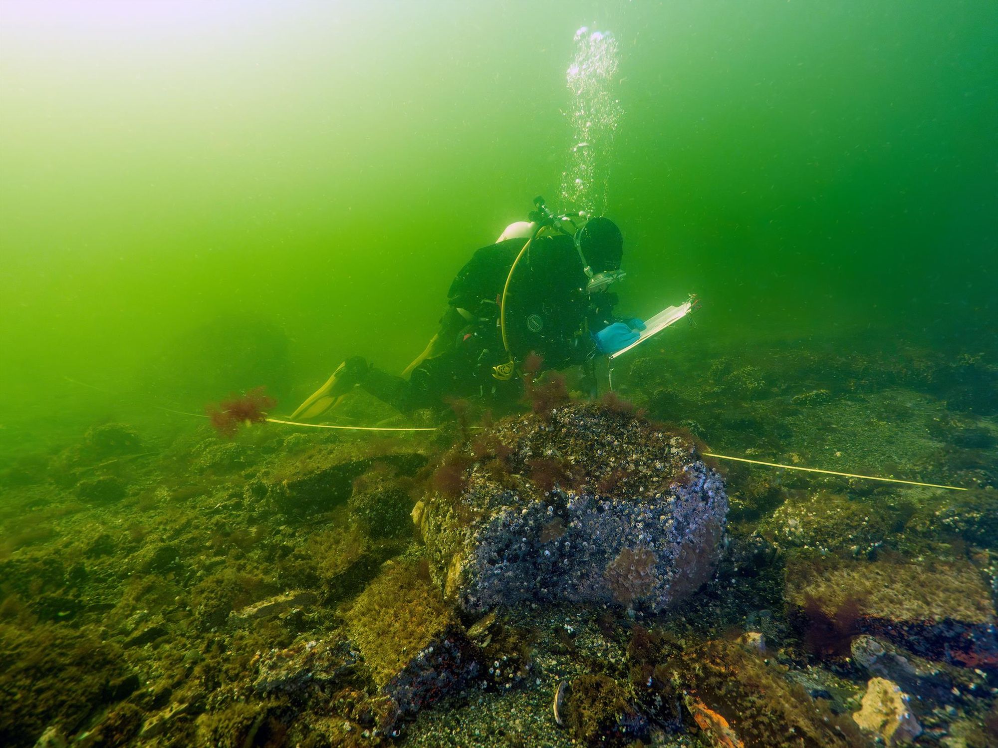 Diving on closed down fish farm. Photo: Joakim Ahlgren/UMF