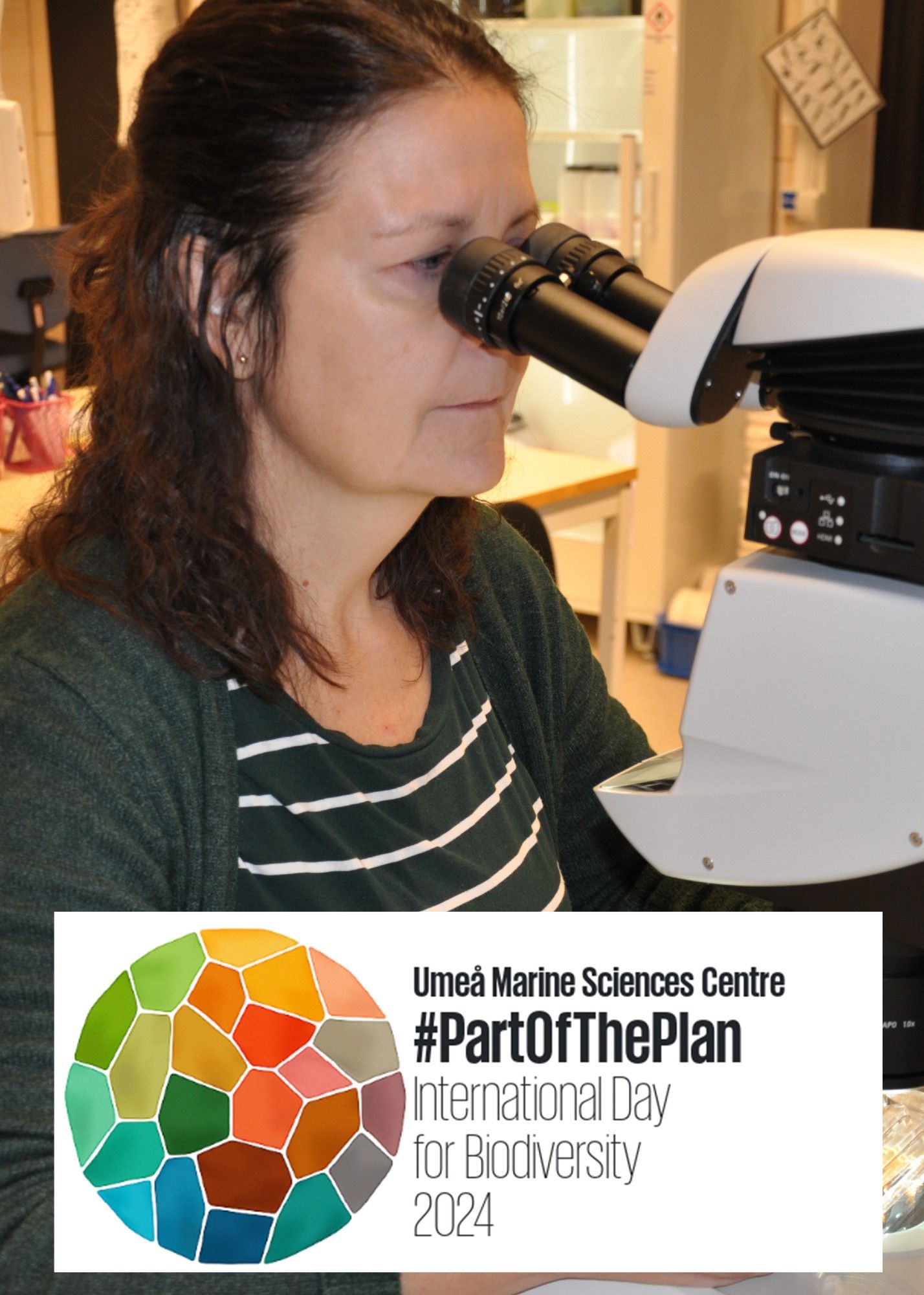 Petra Rådman, taxonomist at Umeå Marine Sciences Centre.