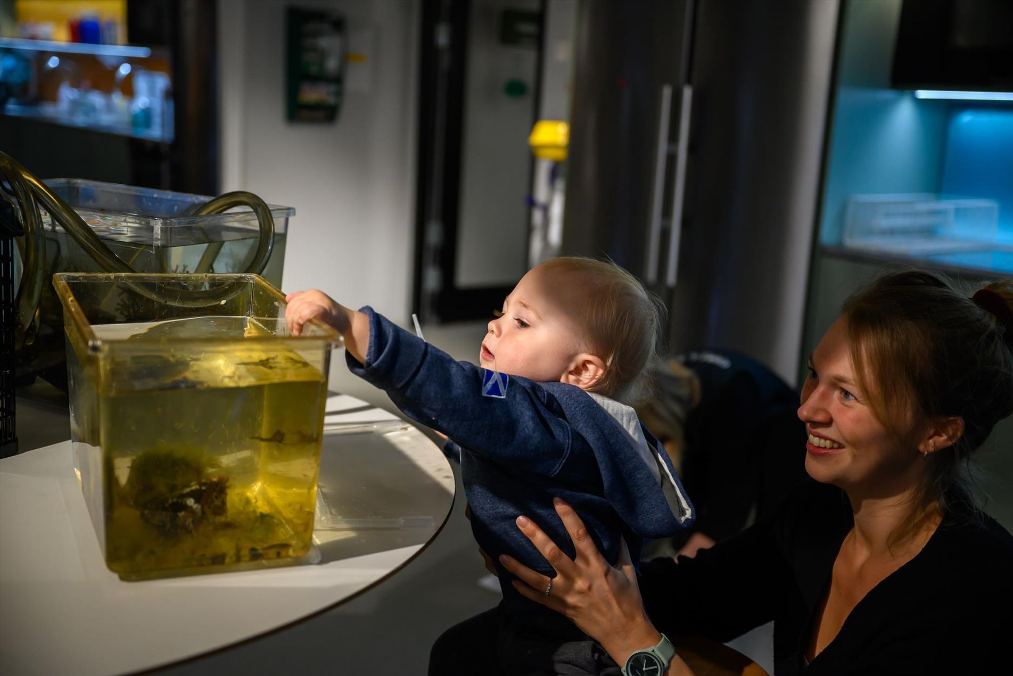 A child explores the aquarium during the European Researchers' Night at Umeå University. Photo: Gabrielle Beans Picón