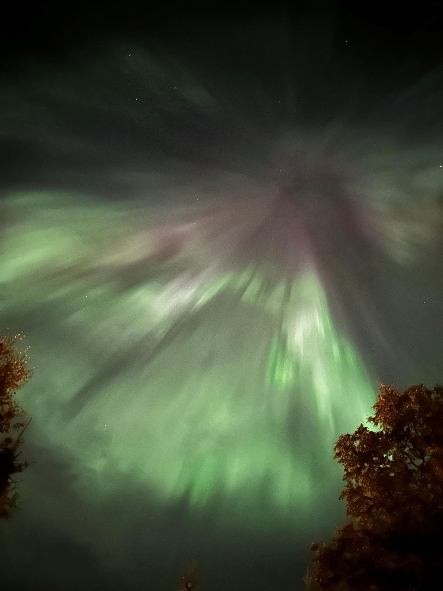 Northern Lights above campus, Umeå University. Photo: David Jen