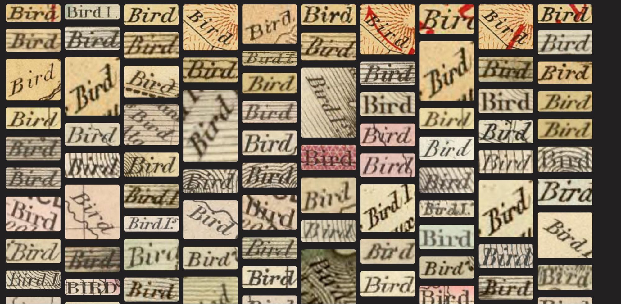 A collage of instances of the word ‘bird’ (taken from maps).