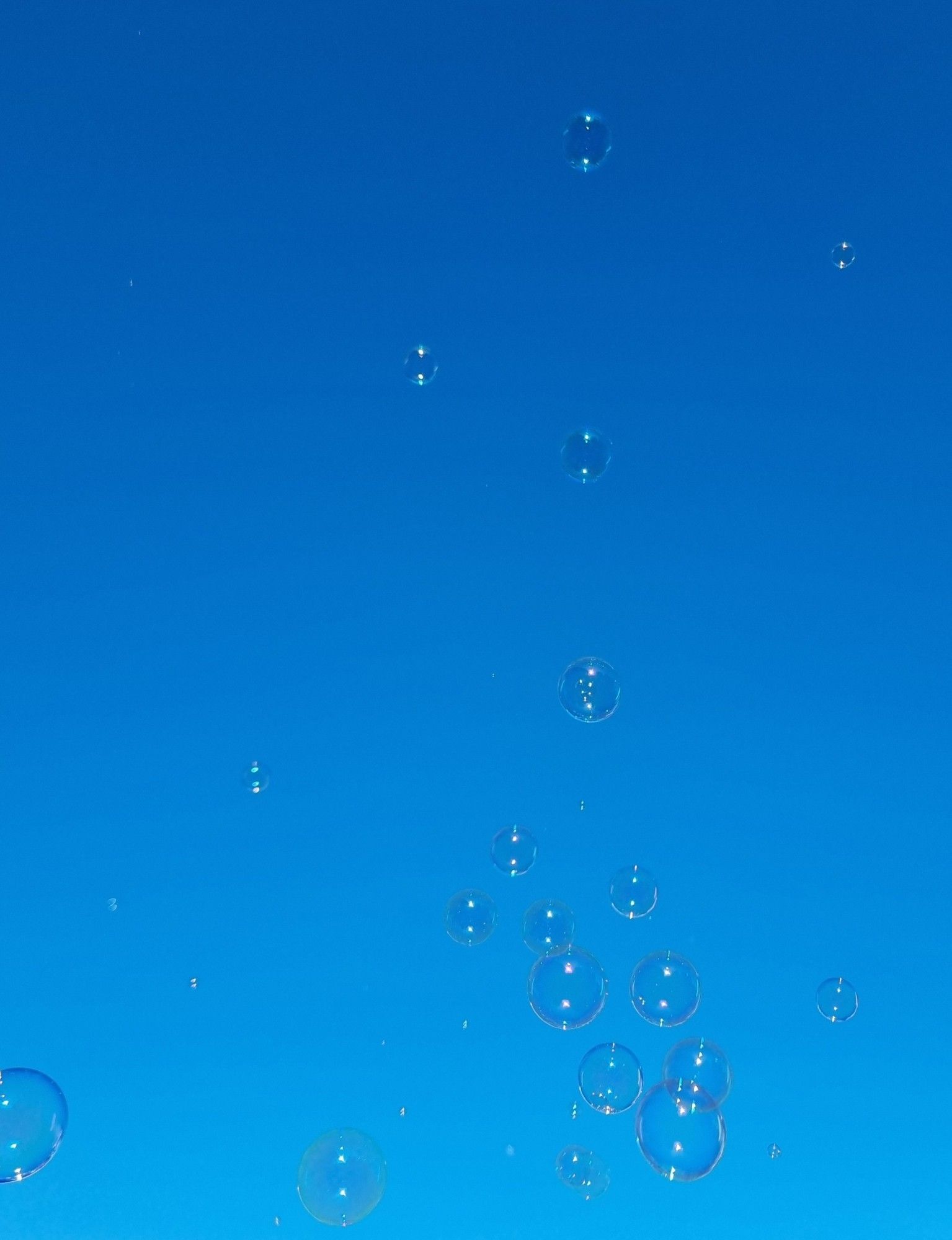 Seifenblasen steigen in strahlend blauen Himmel auf.