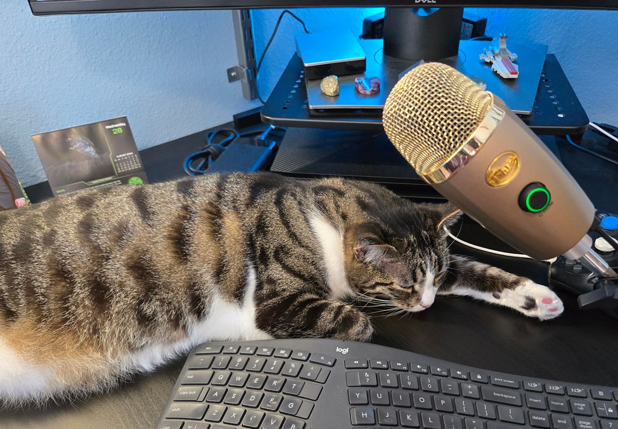 Griswold the cat snoozing behind my keyboard on my desk.