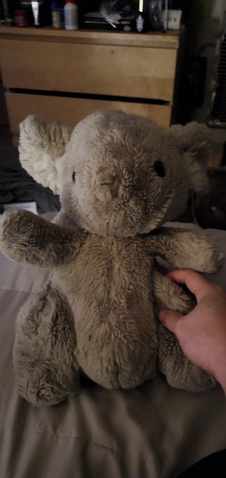 An old and well loved koala stuffed animal missing his nose.