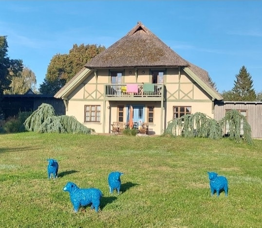 Reetgedecktes Fachwerkhaus auf Born/Darß.
Davor auf grüner Wiese eine kleine Schafherde in blau (Plastik).