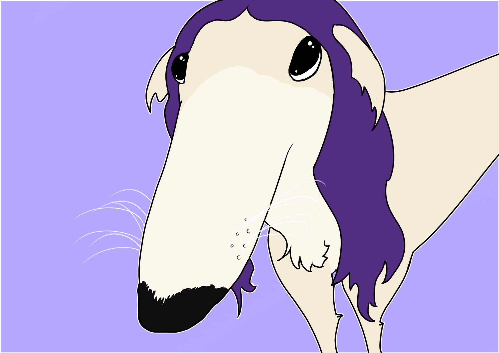 i hired a purple haired borzoi to stare at you