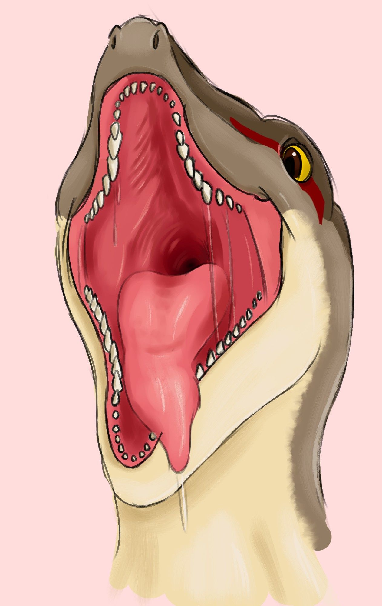 gaping dino mouf