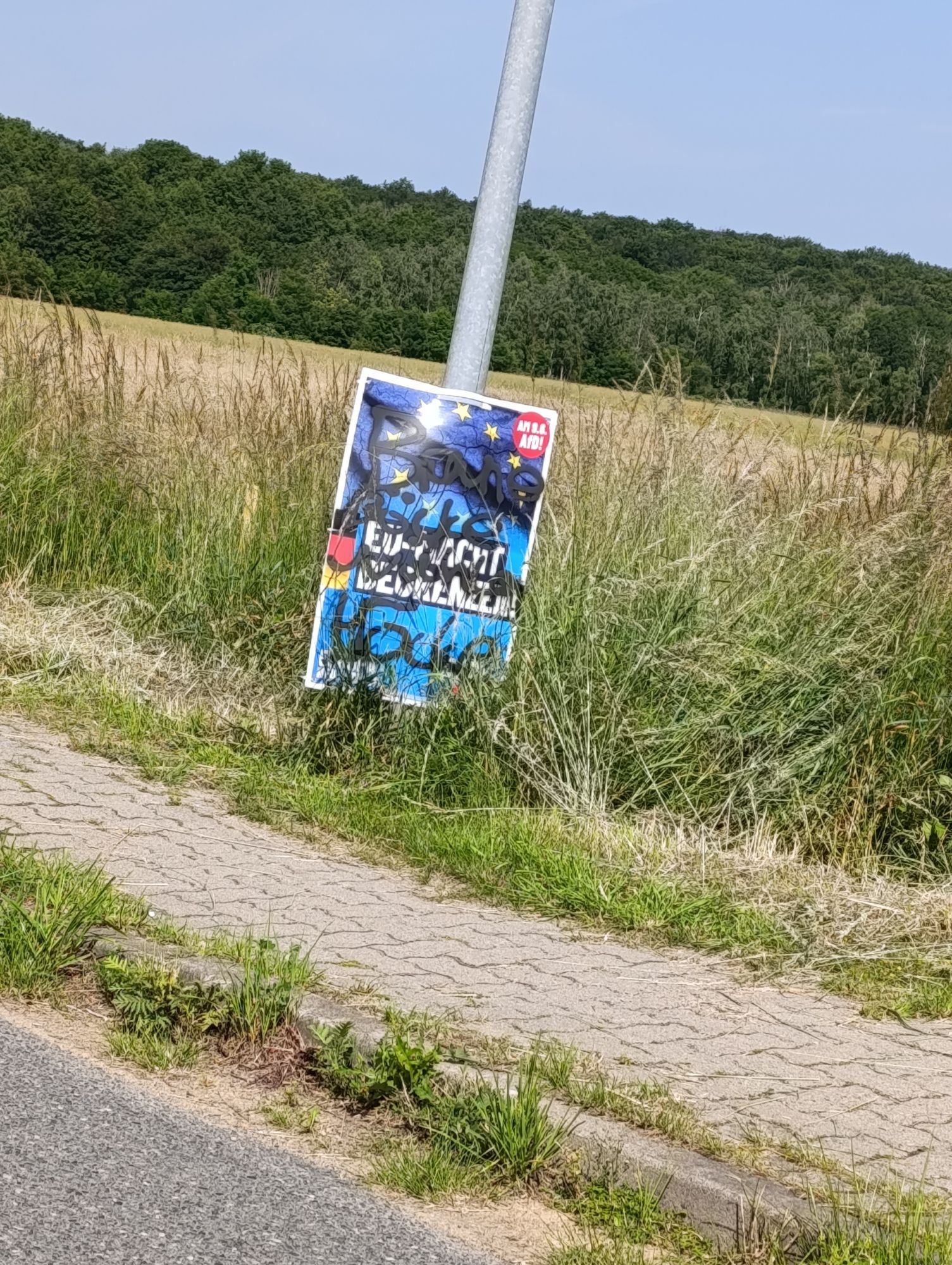 Wahlplakat der #noafd an einem Laternepfahl, beschrieben mit "Braune Säcke wählen Höcke".