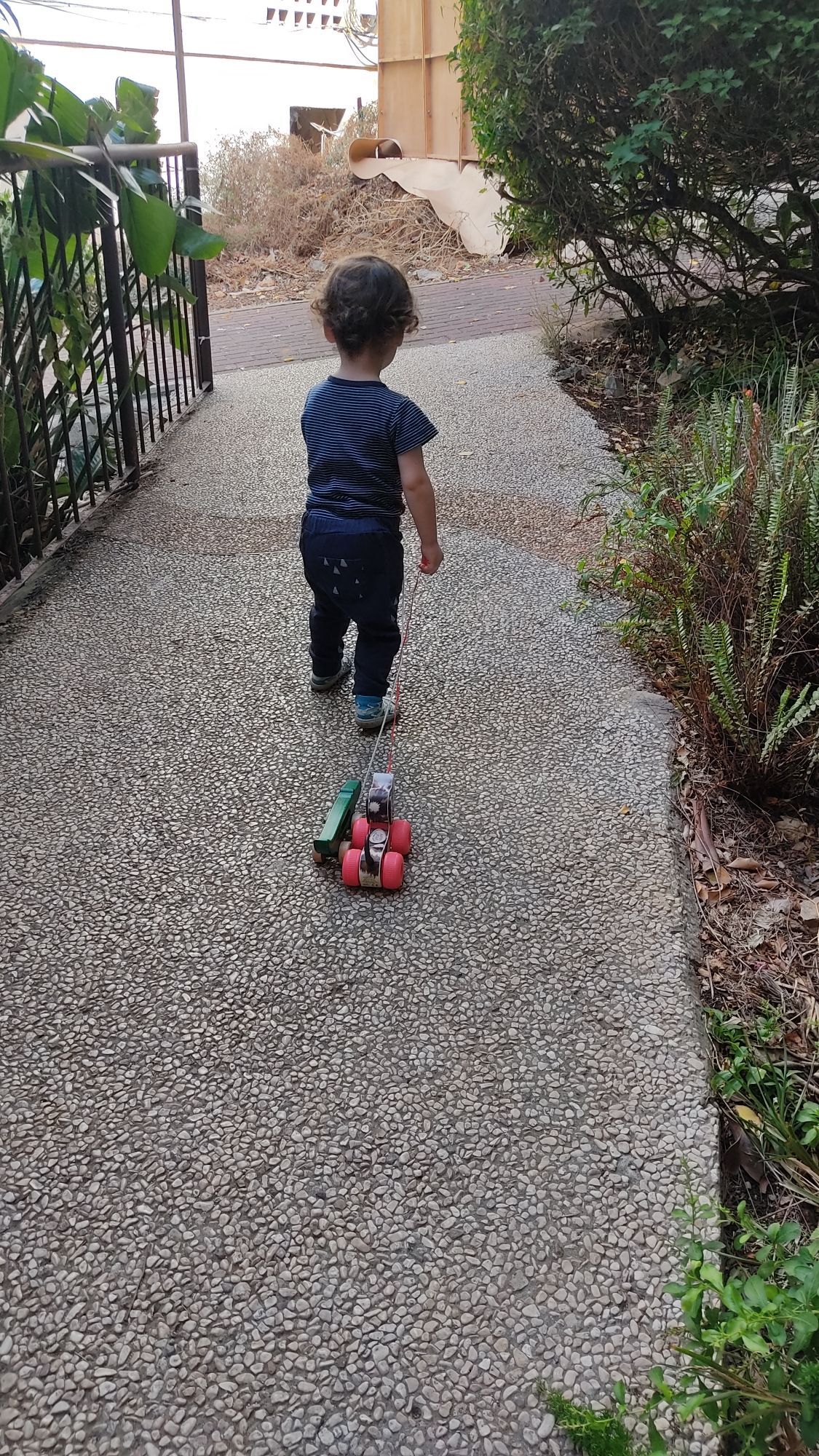 Toddler taking two toys for a walk