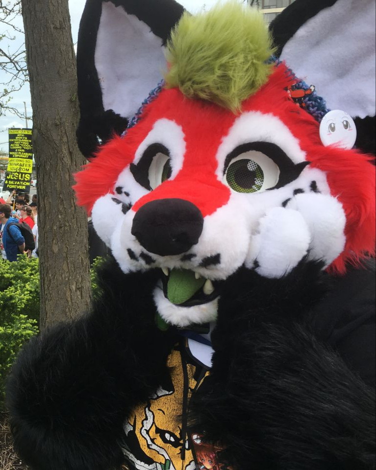 A red and white cartoony maned wolf fursuit putting her paws on her face in a shocked manner.