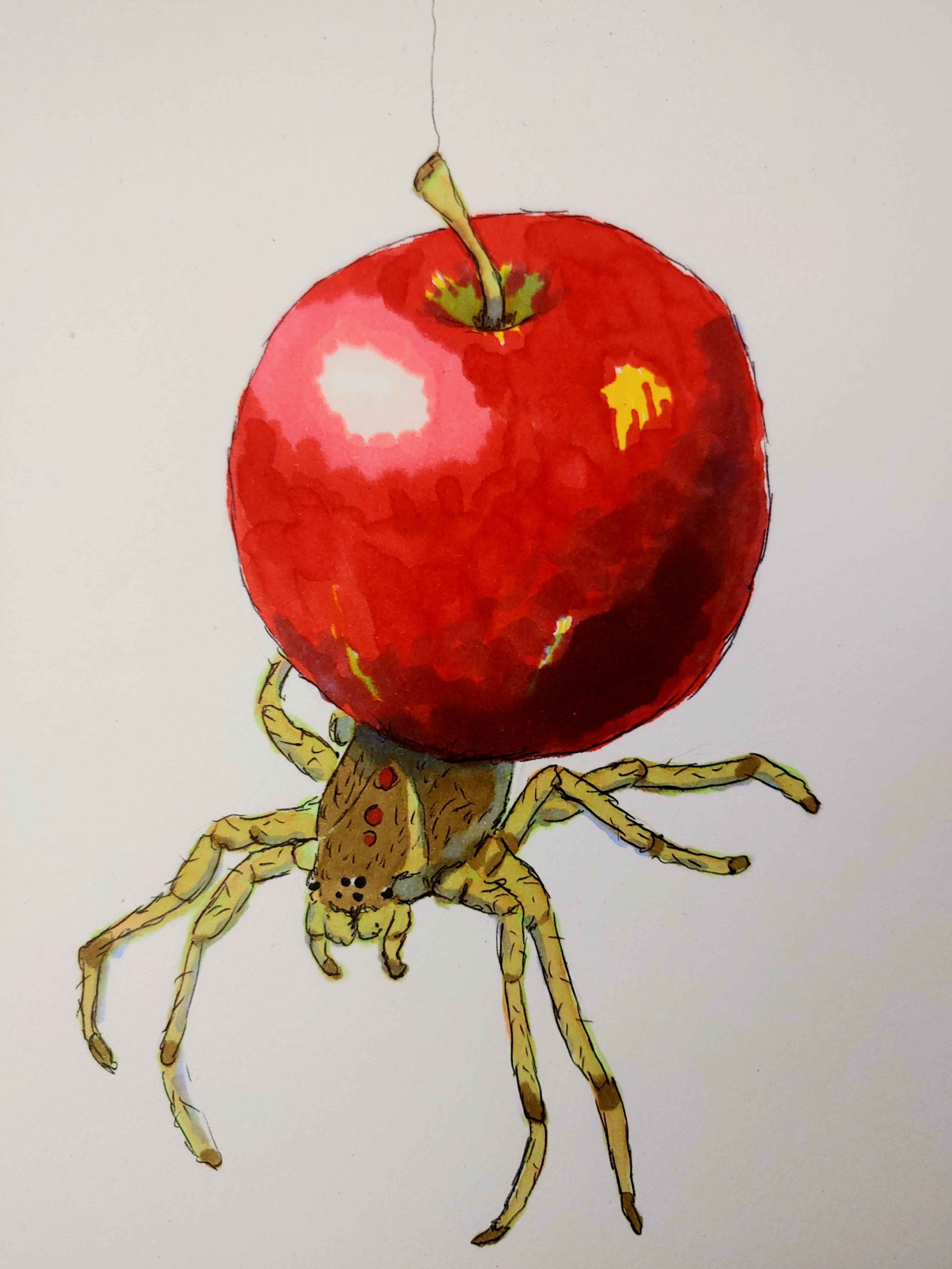 A drawing of a spider that has a shiny red apple for an abdomen.