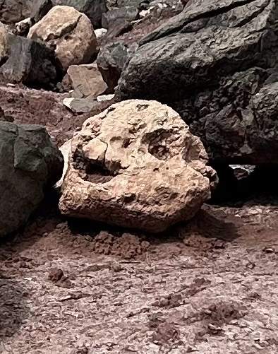 a rock i saw while hiking that has almost exactly the same shapes as Gothmog. the “mouth” is in a grimace, one of the “eyes” is kinda punched in etc. 