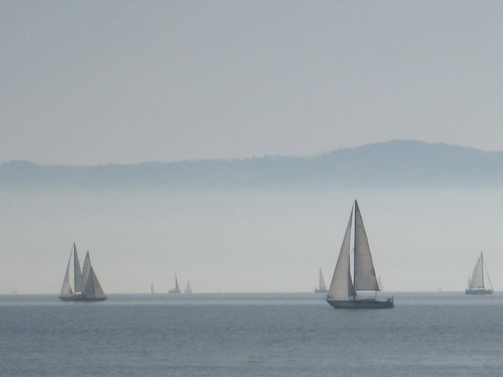 Segelboote im Nebel. Bodensee.