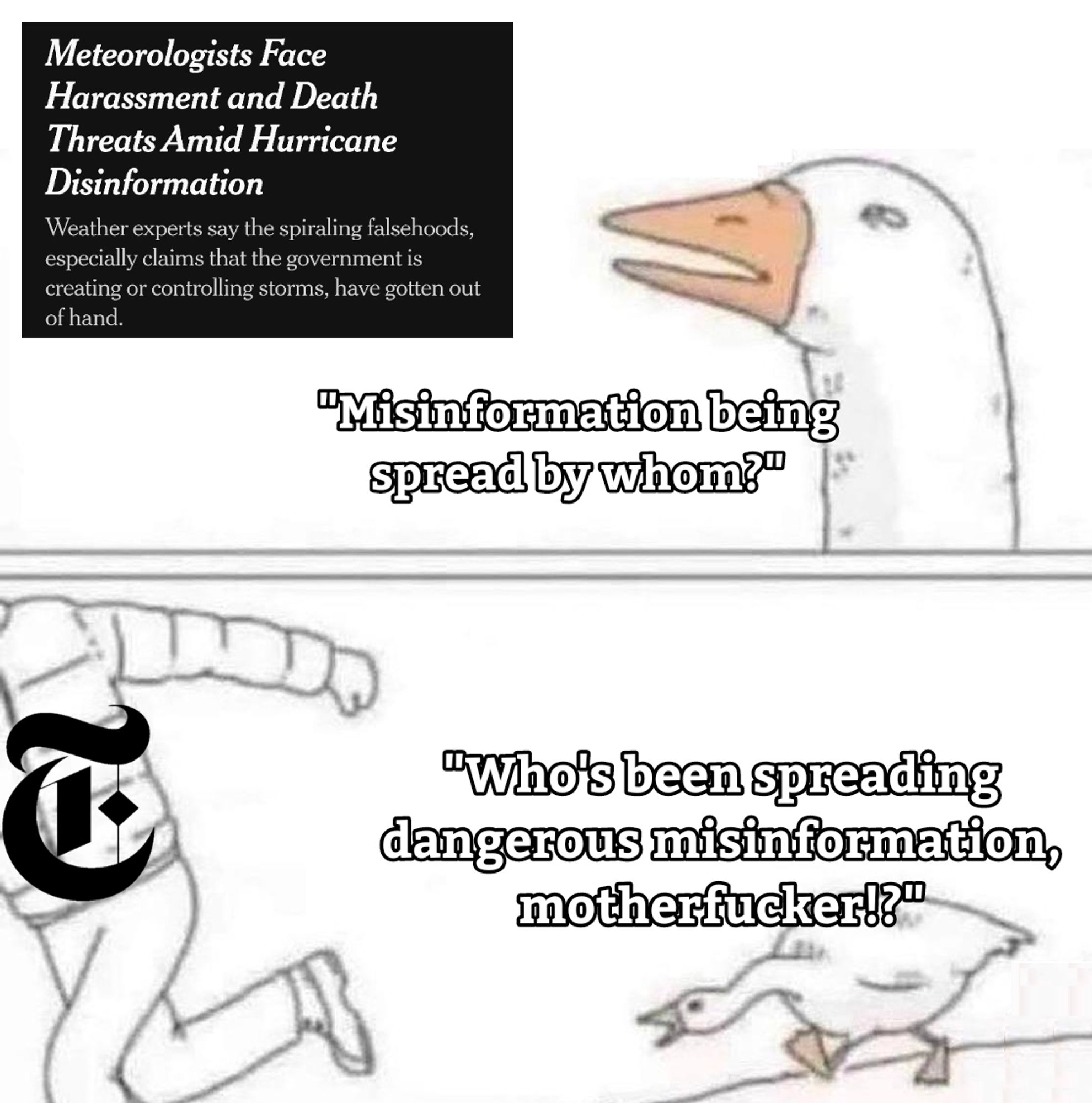 Top panel: Goose reading the NYT headline "Meteorologists Face Harassment and Death Threats Amid Hurricane Disinformation
Weather experts say the spiraling falsehoods, especially claims that the government is creating or controlling storms, have gotten out of hand." and asking in response "Misinformation being spread by whom?"

Bottom panel: A man in a jacket with the New York Times logo runs away from the angry goose who is shouting "Who's been spreading dangerous misinformation, motherfucker!?" 