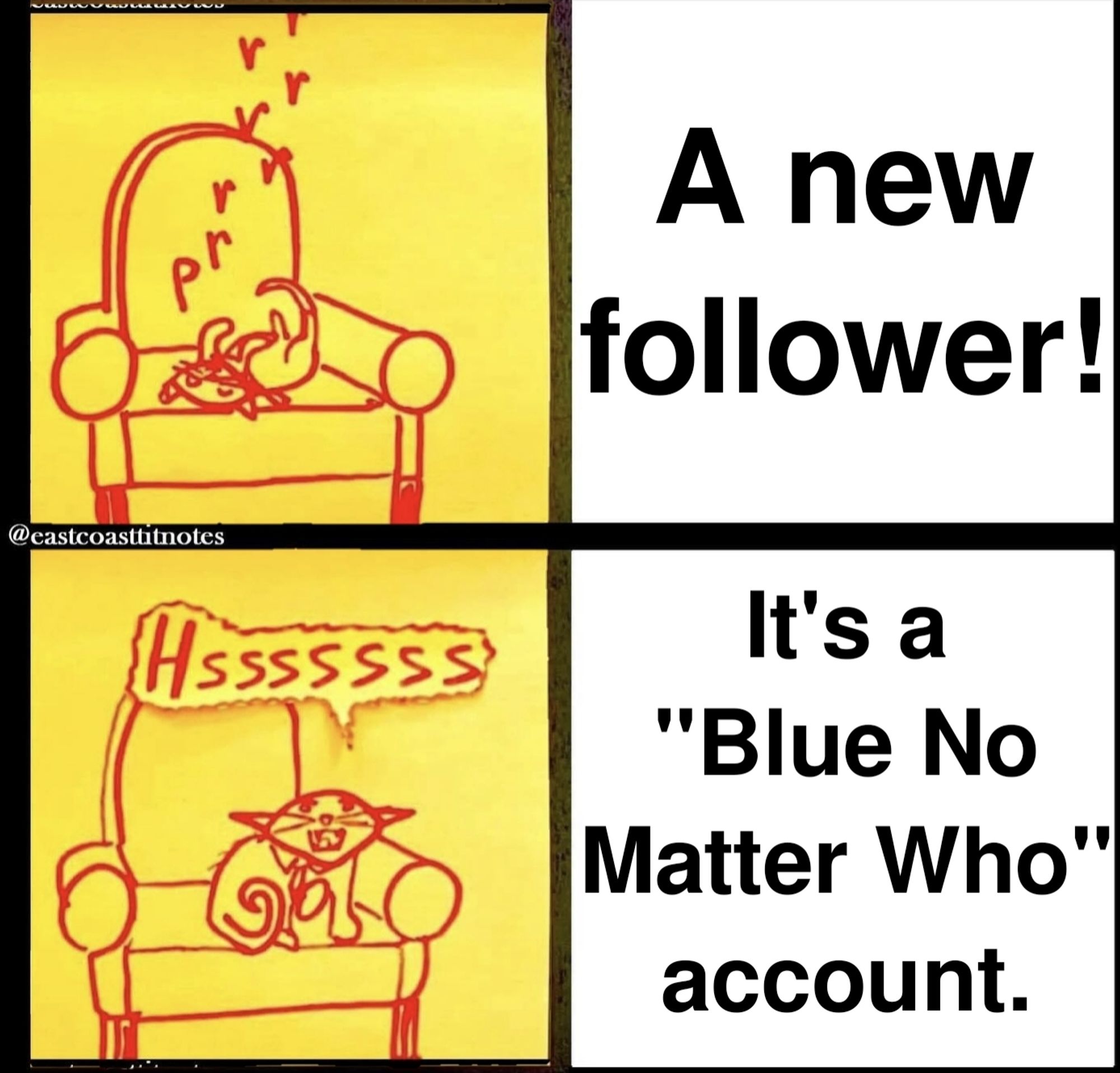 A meme format form @eastcoastitnotes.

Top is a purring cat next to the words "A new follower!"

Bottom is the same cat hissing next to the words "it's a 'Blue No Matter Who" account."