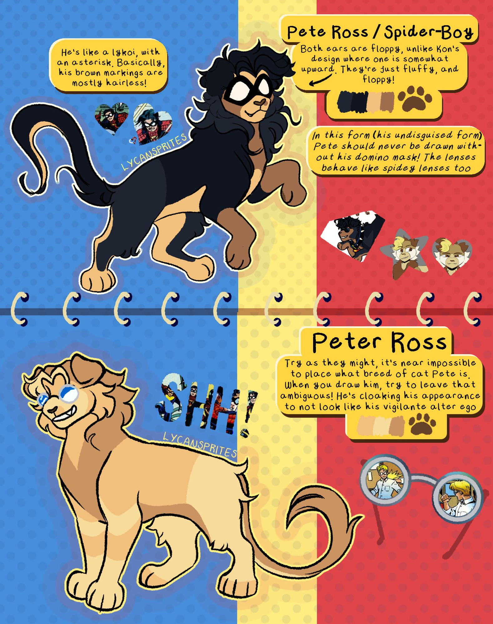 Digital reference of a cat, with two alternate designs. The cat is an animalified version of comic book character Pete Ross, otherwise known as Spider-Boy from Amalgam Comics. The cat vaguely resembles a lykoi, with darker upper fur, and short, tan fur on the belly and paws. The second design is lion-gold with varying shades for the same underbelly markings as the first.